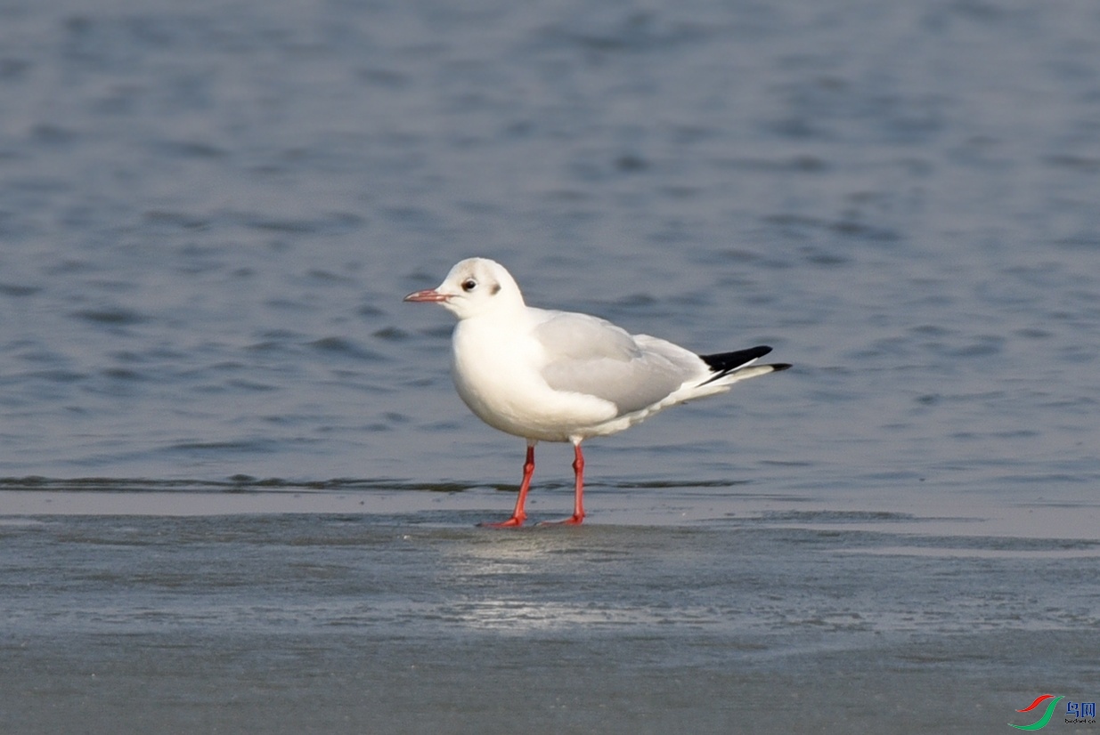 DSC_7478.jpg