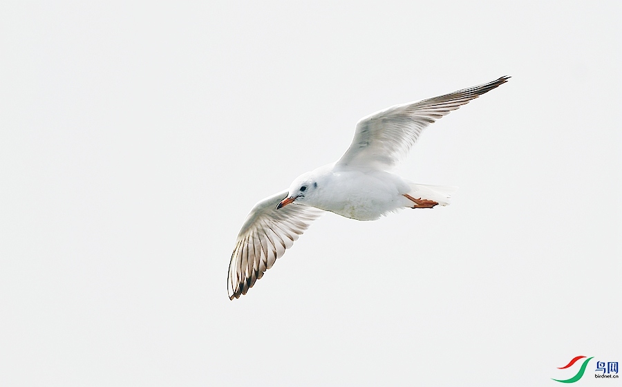 DSC_7476.JPG