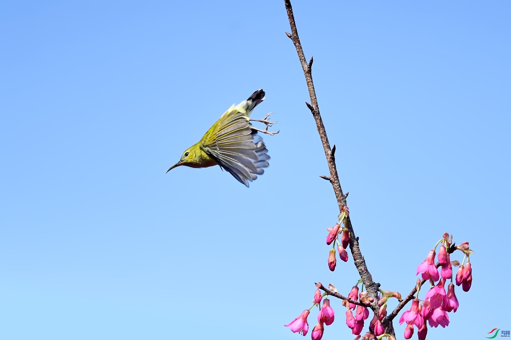 DSC_7218.jpg