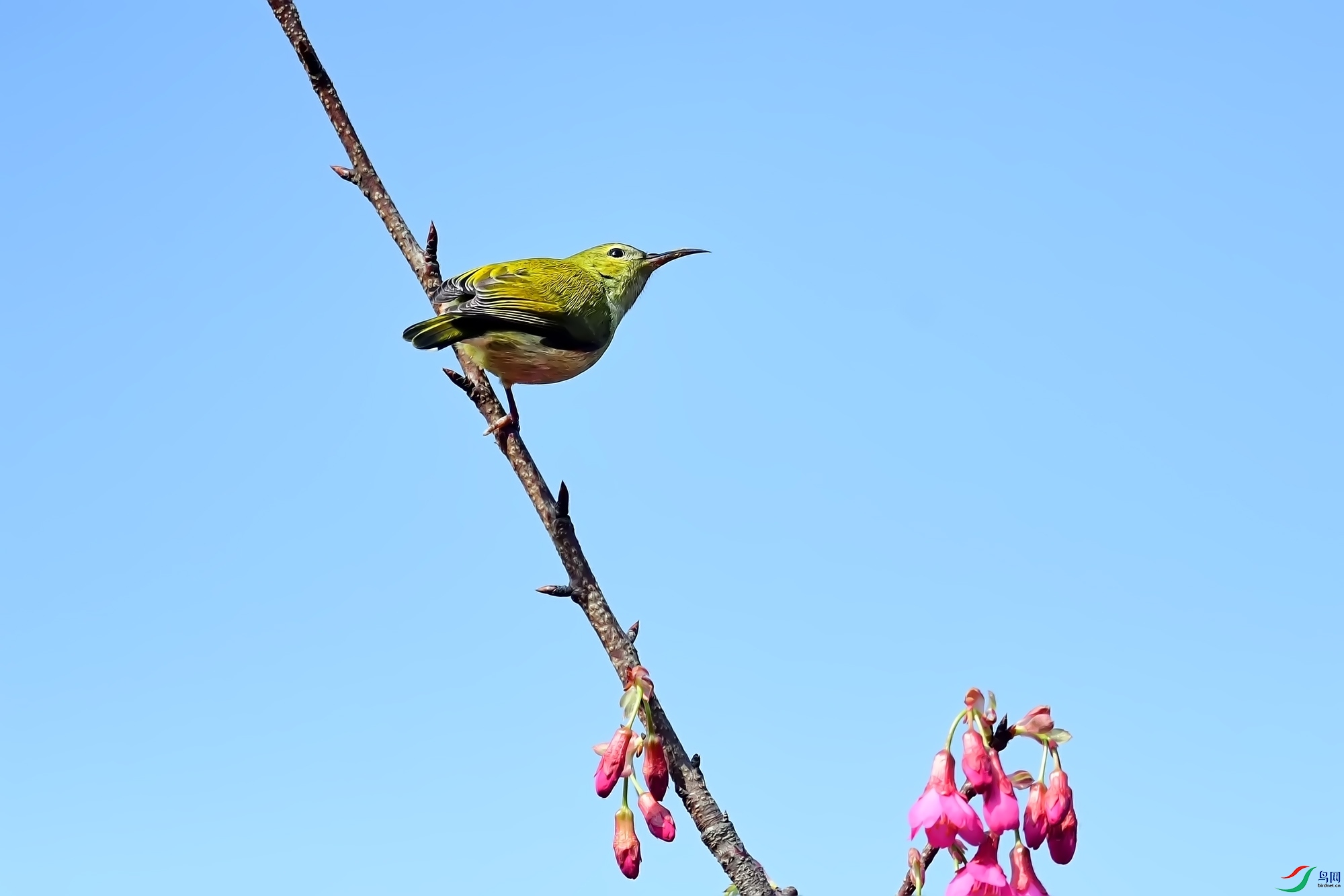 DSC_7207.jpg