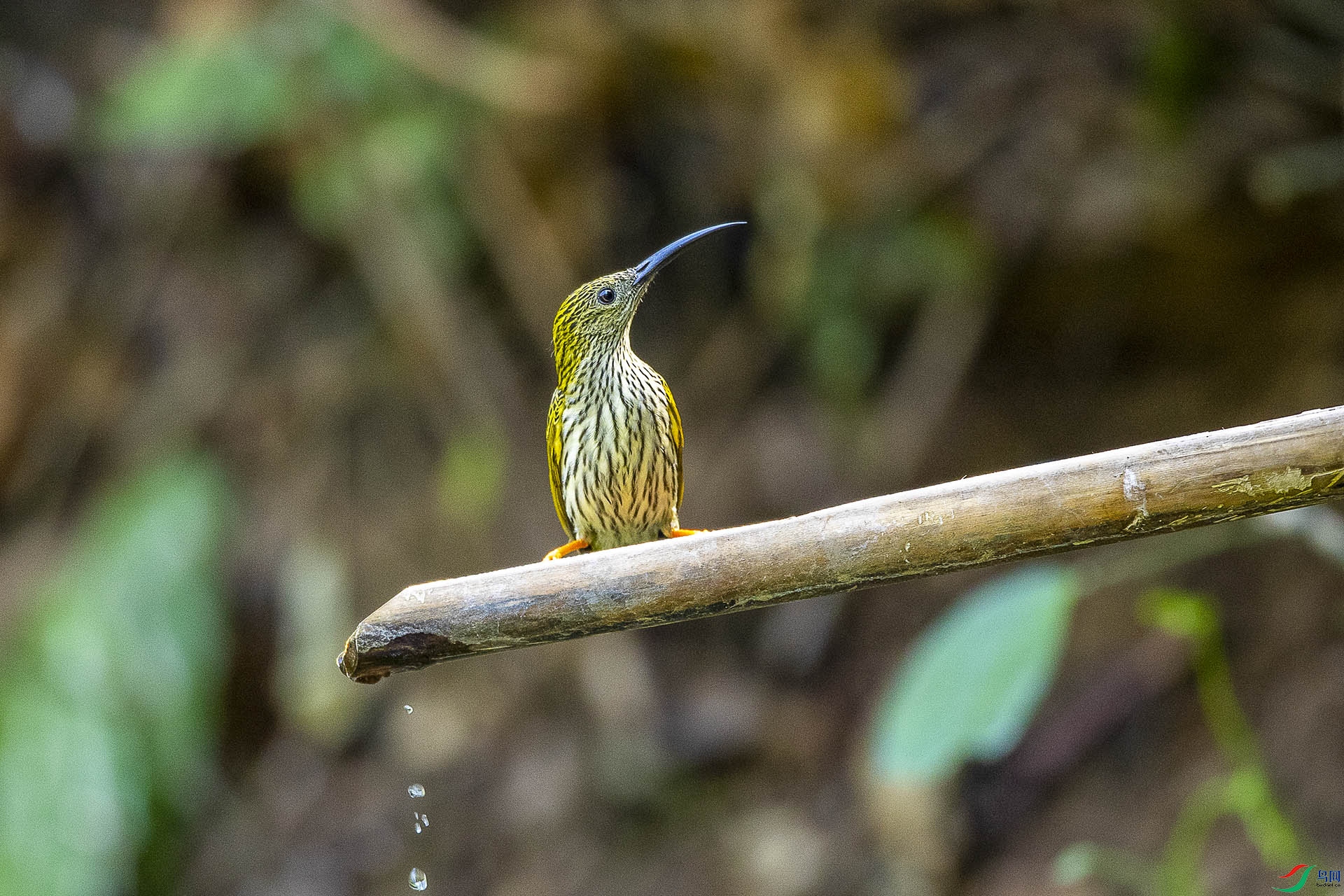 CD0I2350 ����.jpg