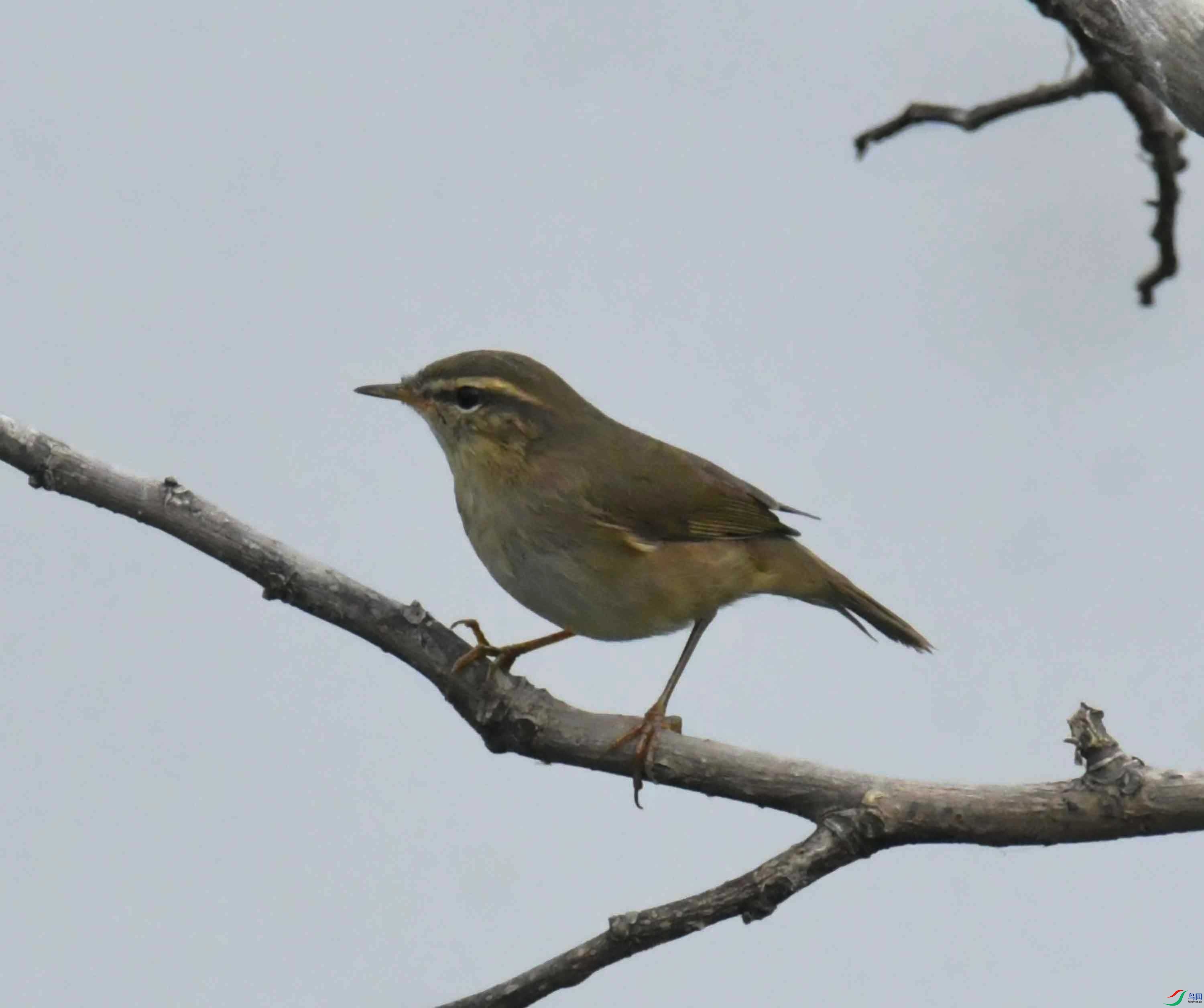 DSC_2740.JPG