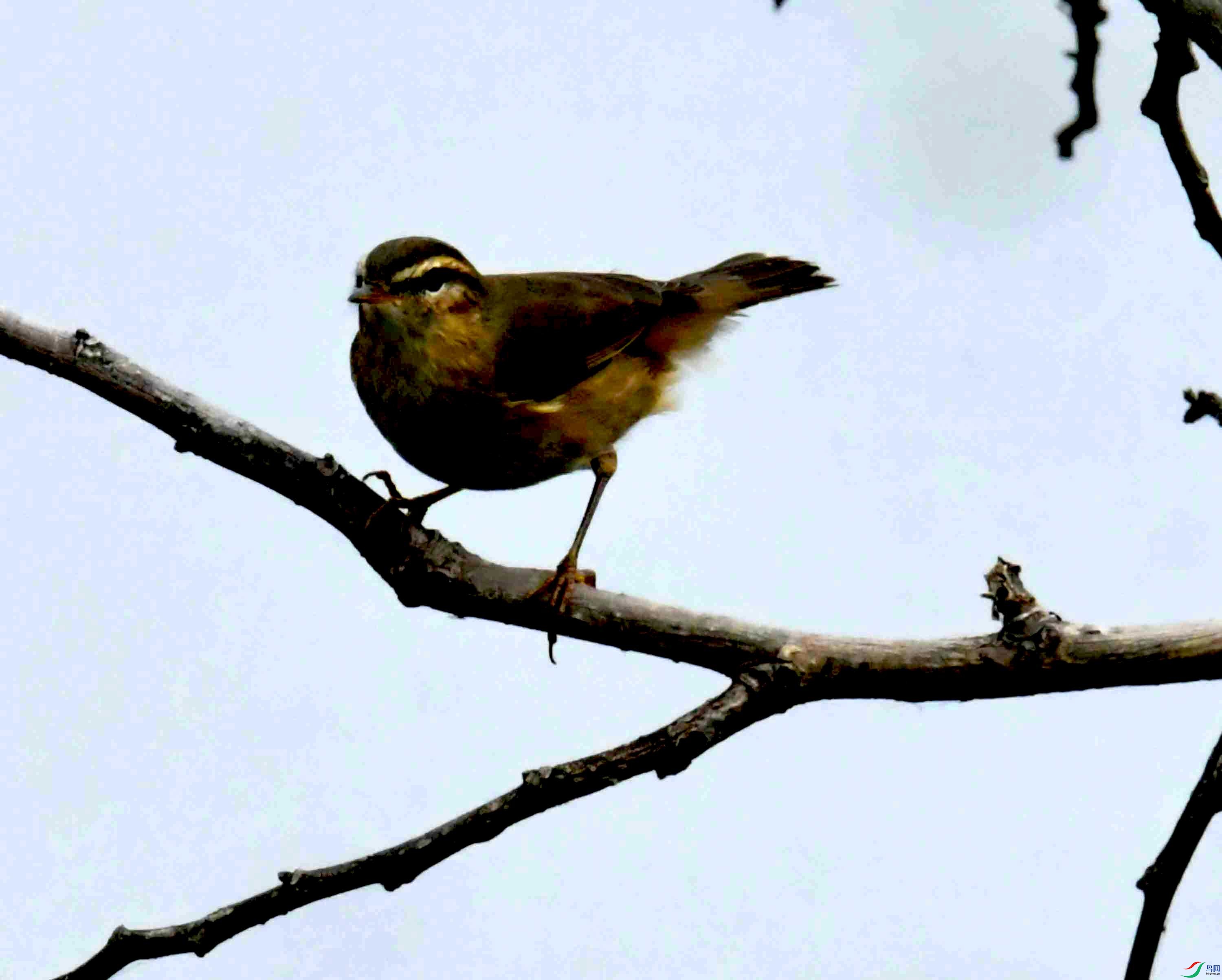 DSC_2735.JPG
