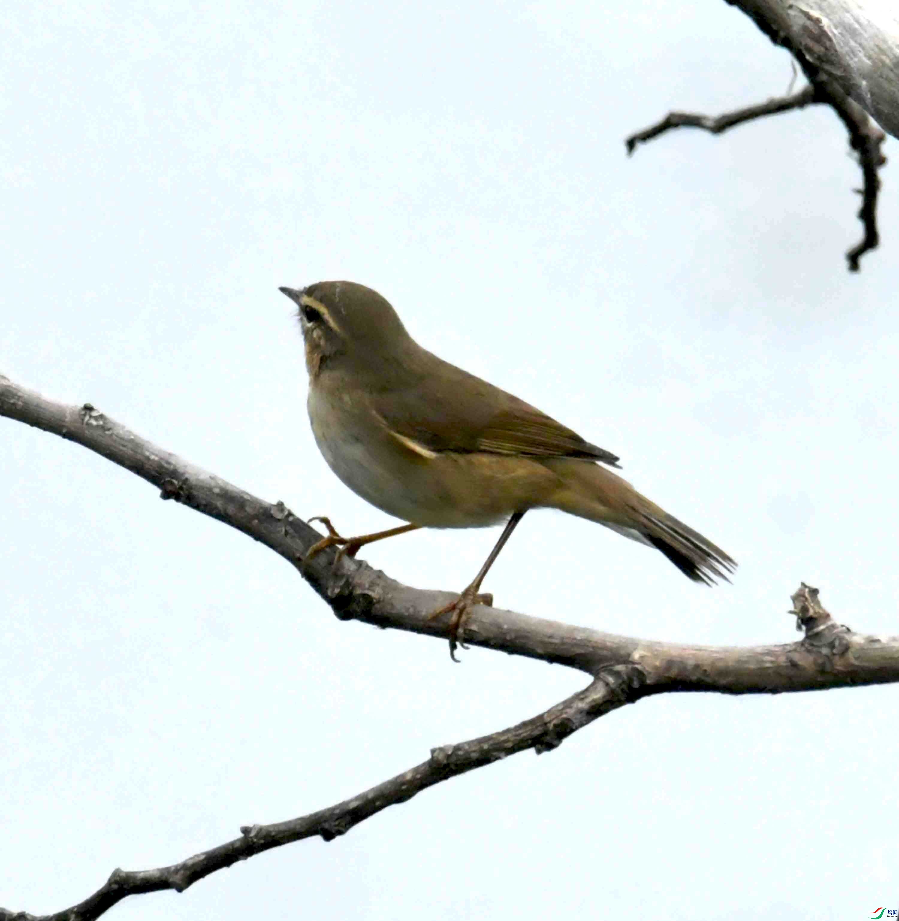 DSC_2741.JPG