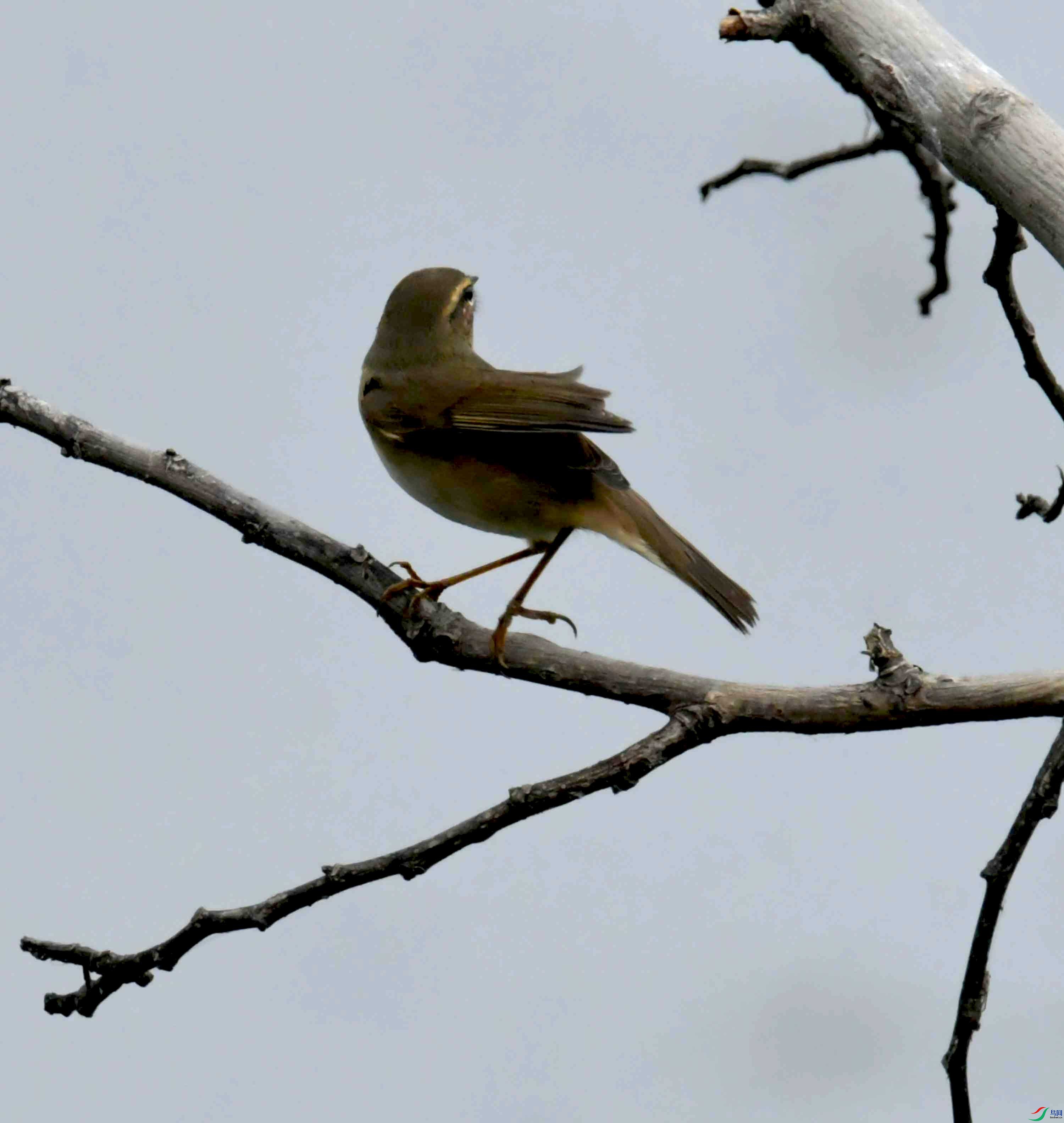 DSC_2748.JPG