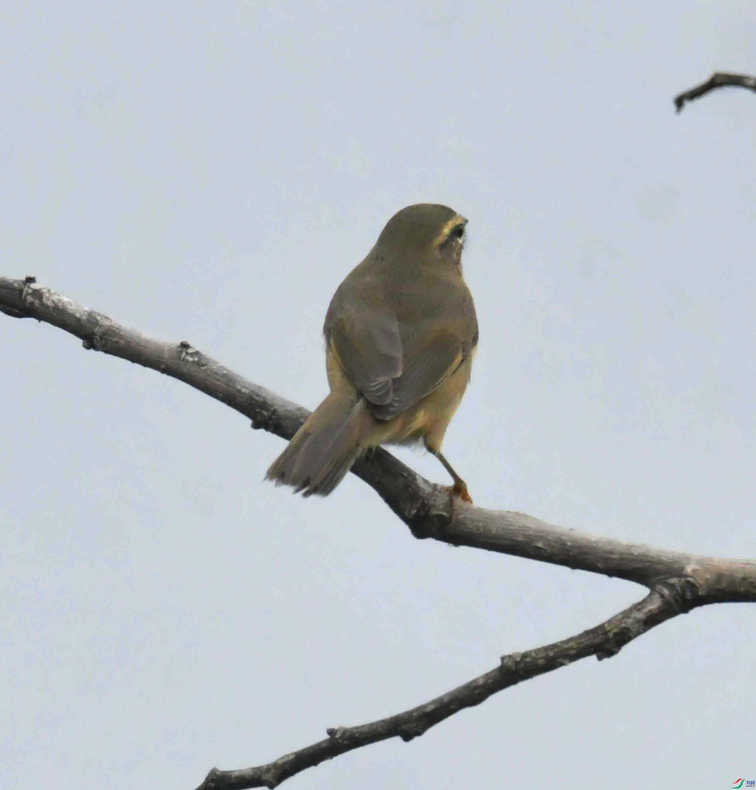 DSC_2755.JPG