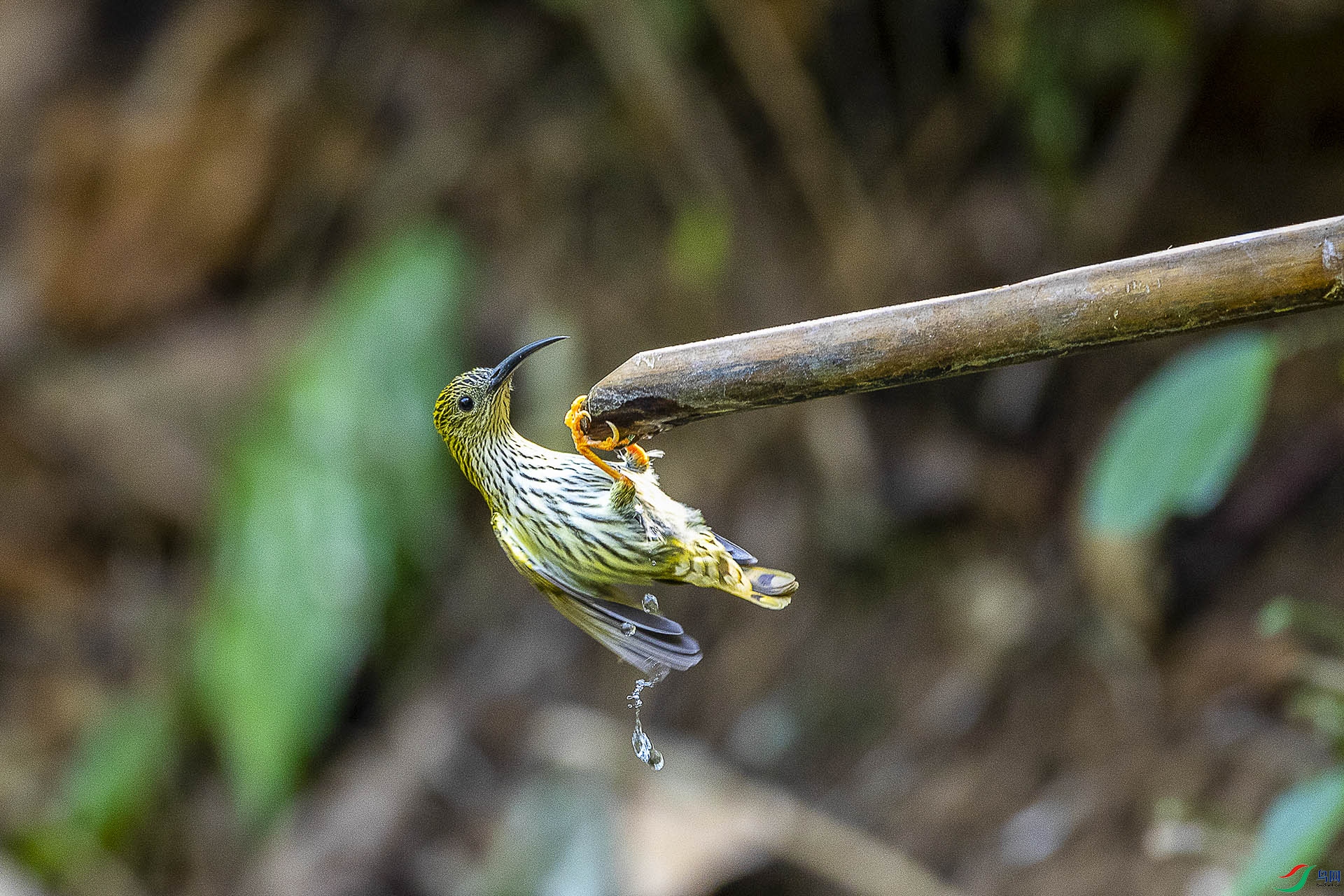 CD0I2367 ����.jpg