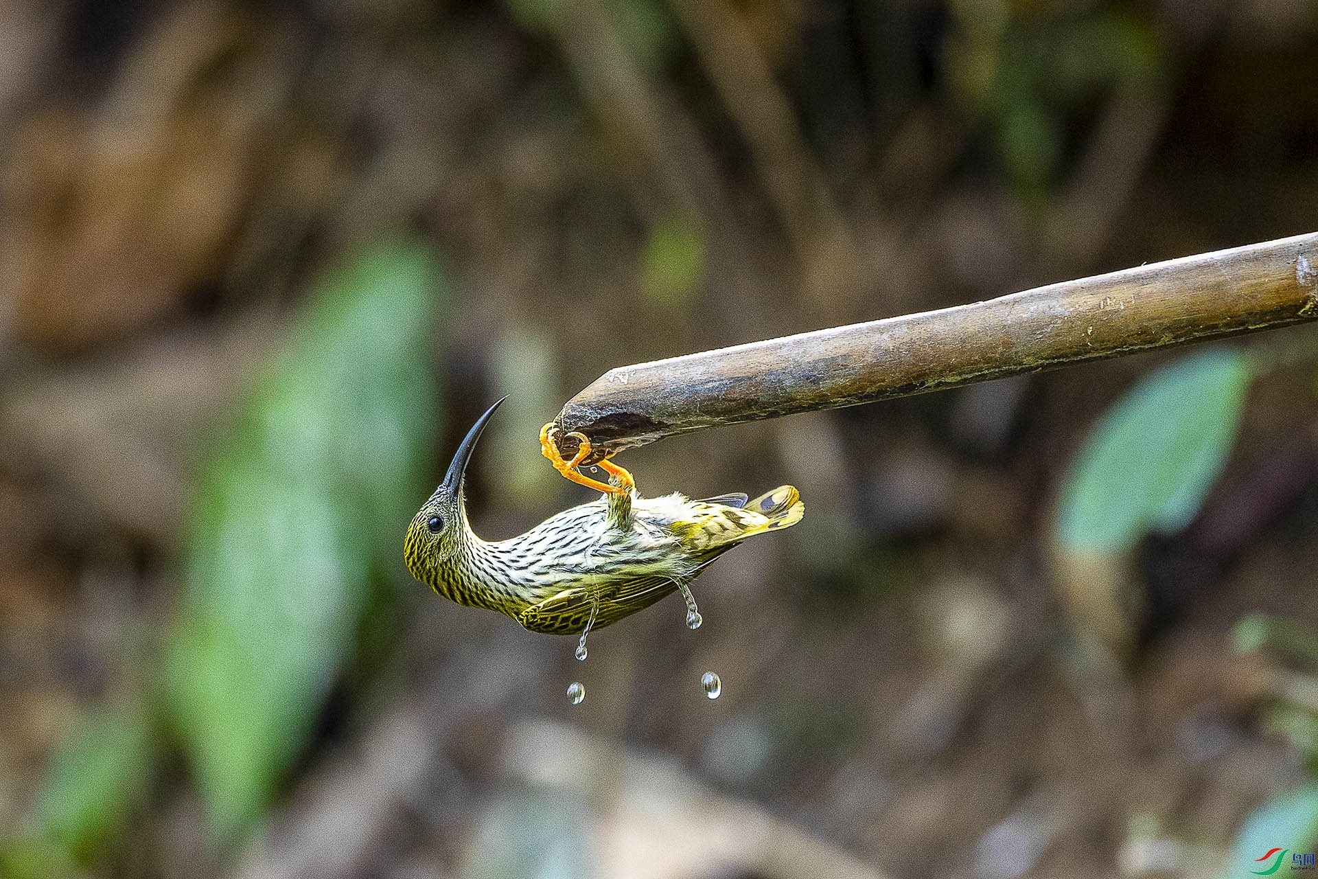 CD0I2388 ����.jpg