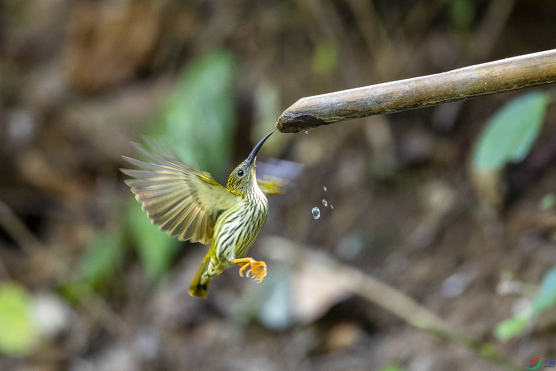 CD0I2364 ����.jpg