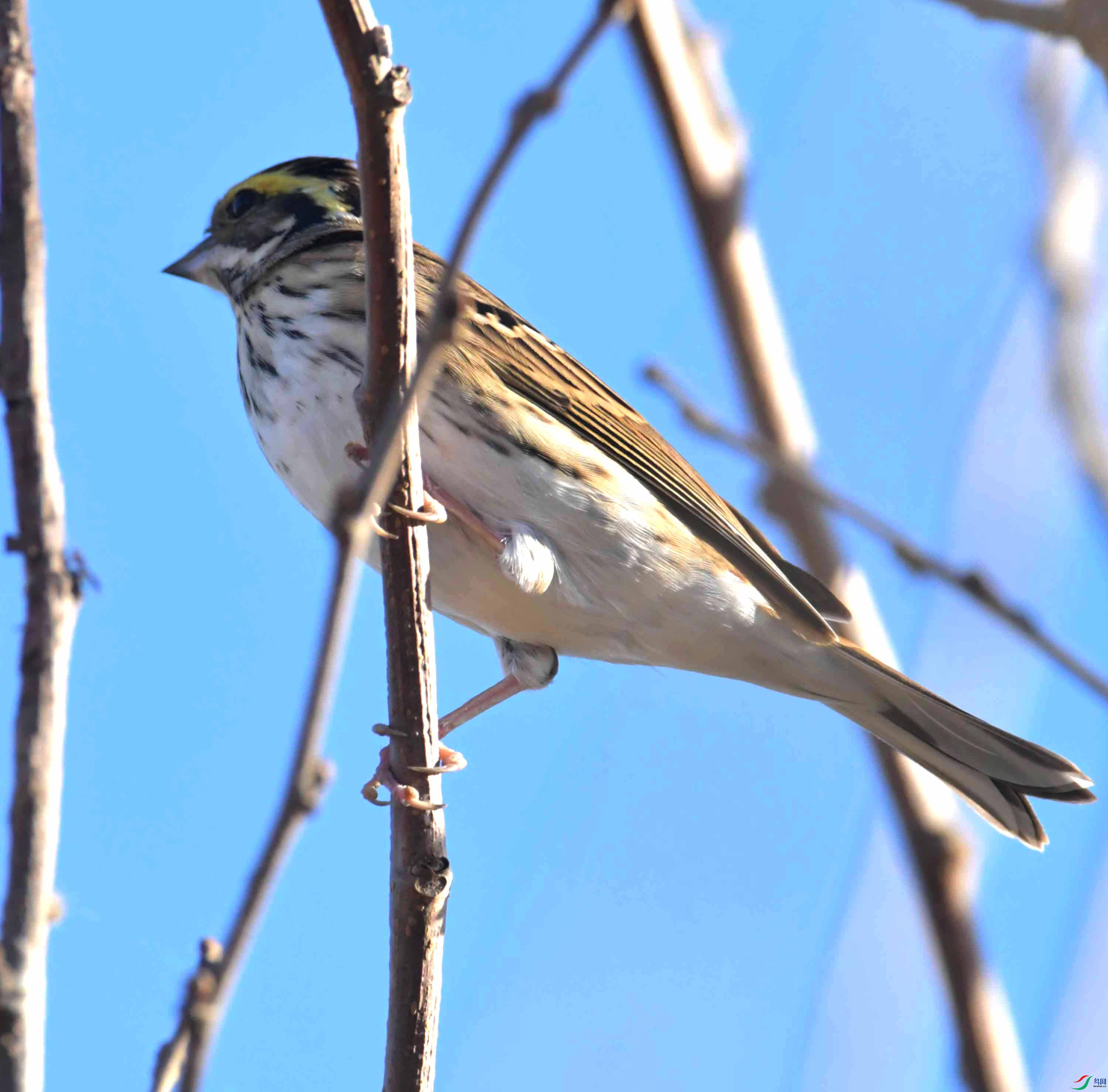 DSC_2065.JPG