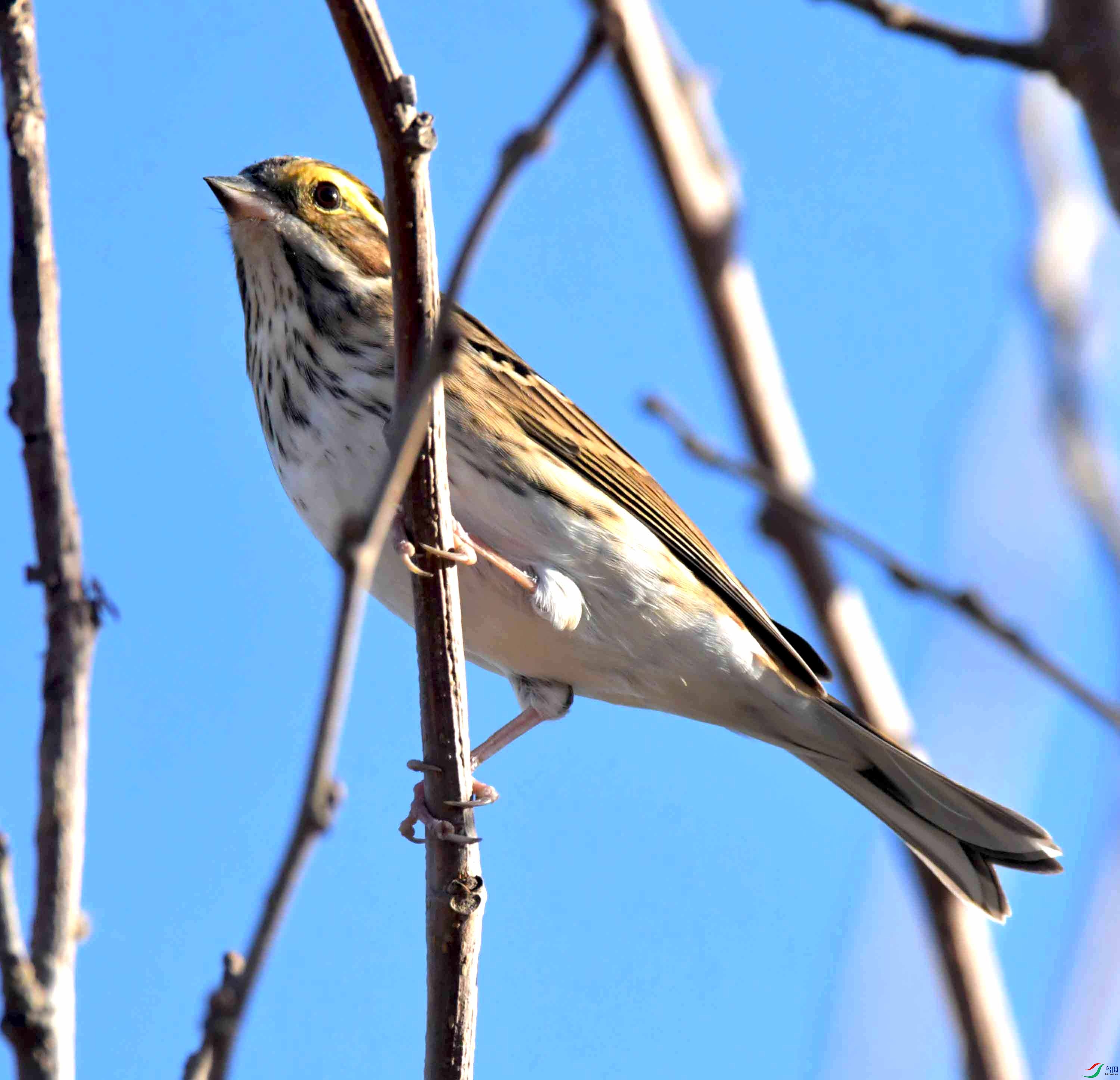 DSC_2068.JPG
