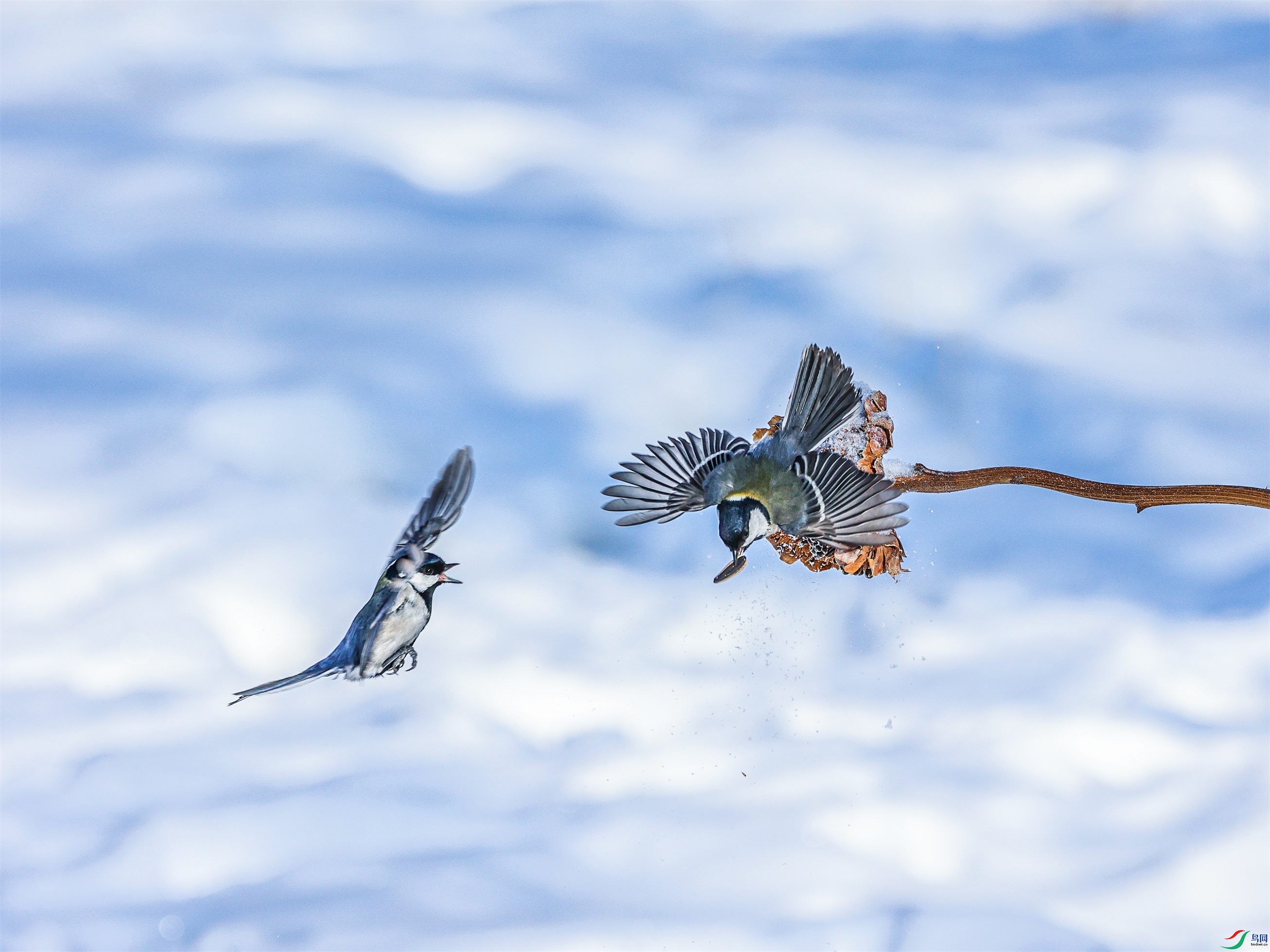 1K3A5462 ����1.jpg