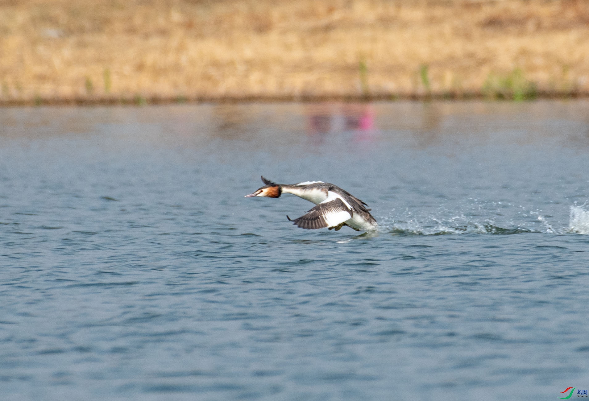 DSC_8346.jpg