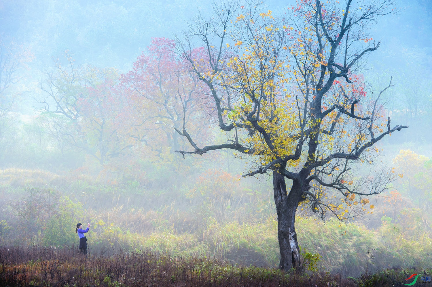 XSX_8446 ����.jpg