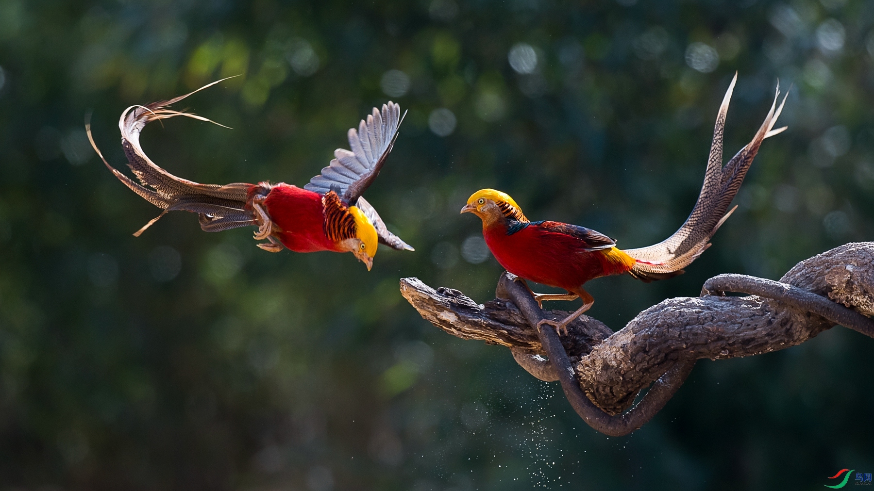 DSC1_7925 - ����.jpg