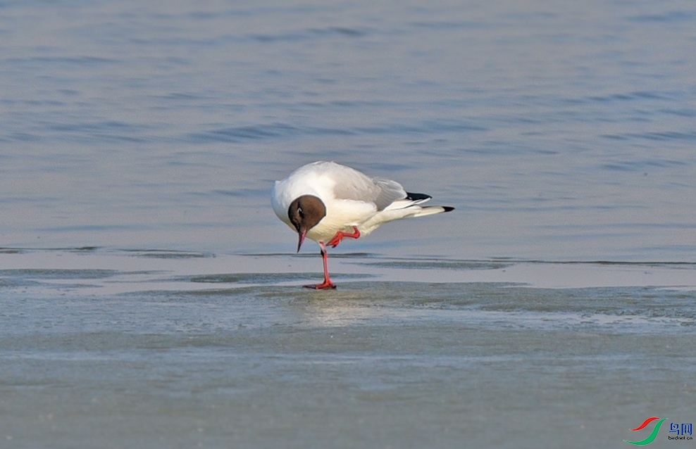 DSC_7438.jpg