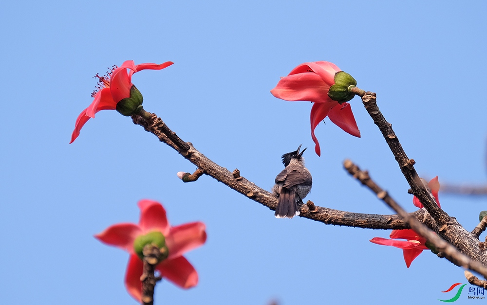 DSCF6937.1.jpg