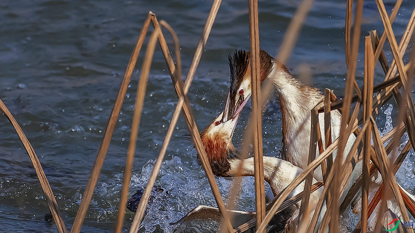 �ƾ�����