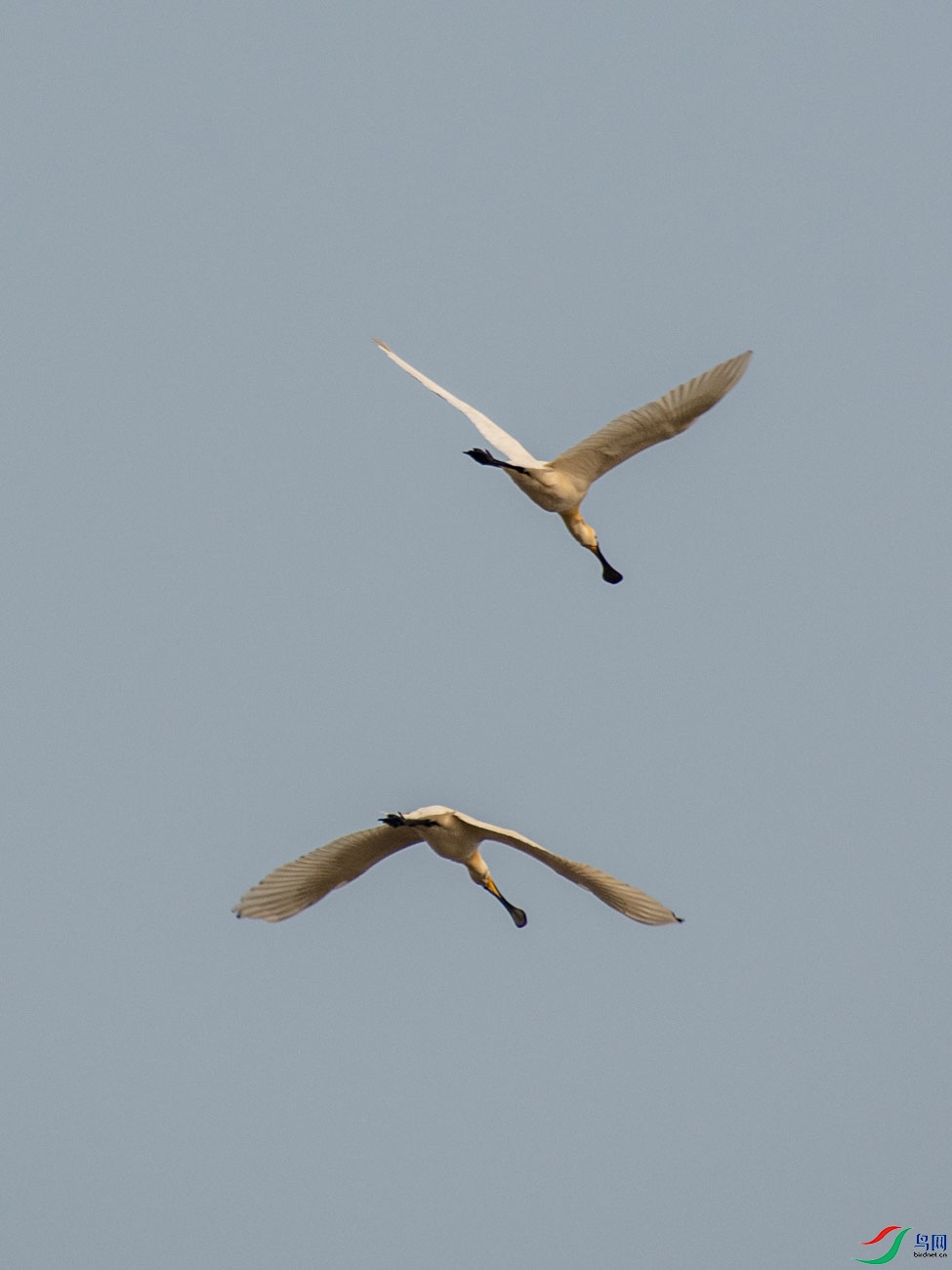 DSC_8745.jpg