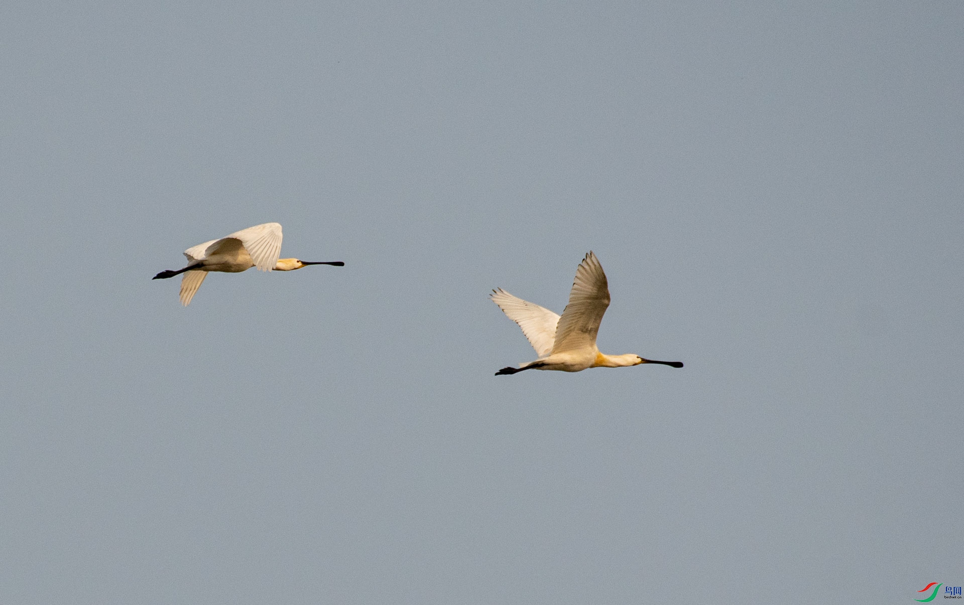 DSC_8753.jpg