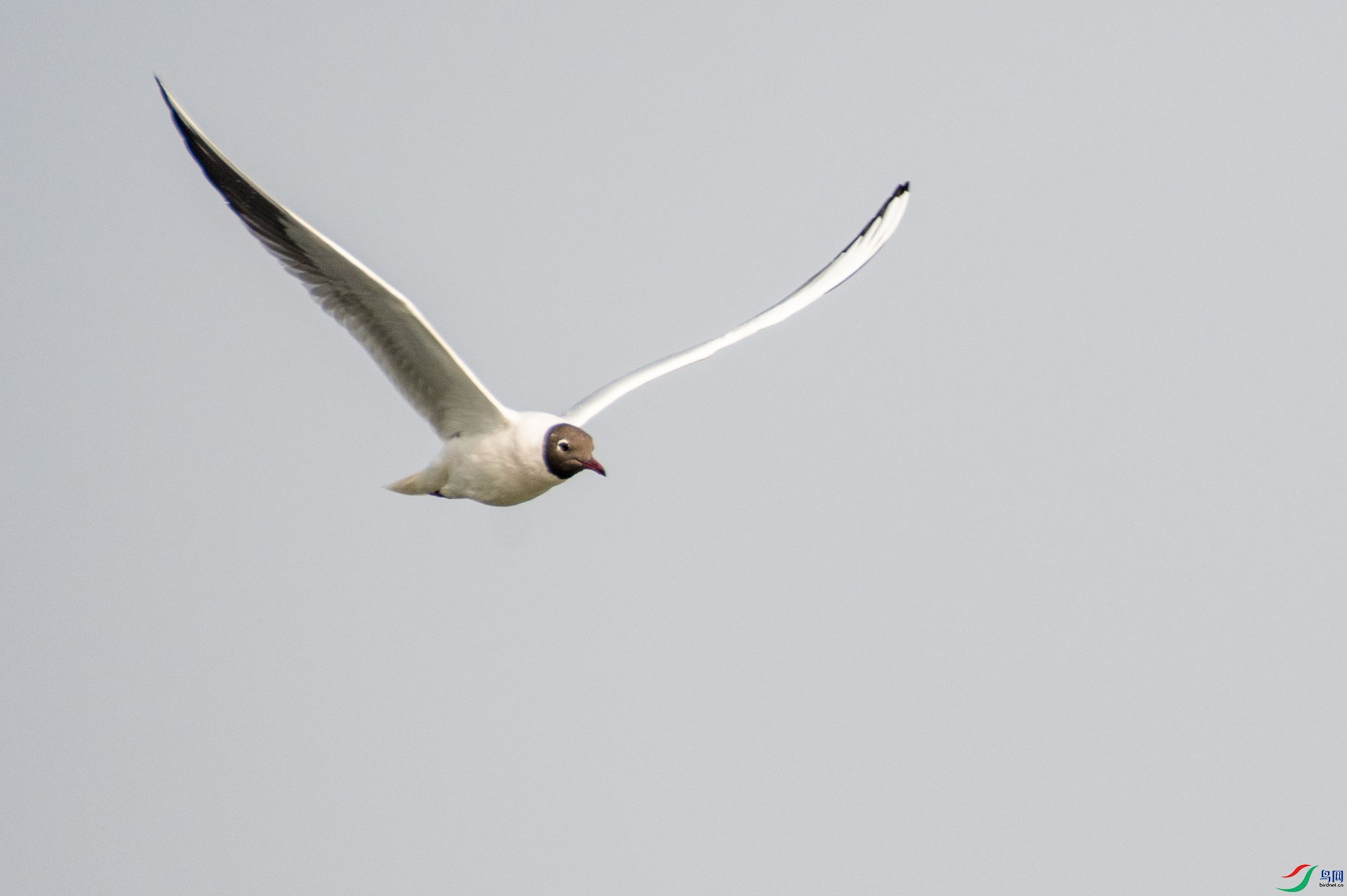 DSC_9320.jpg
