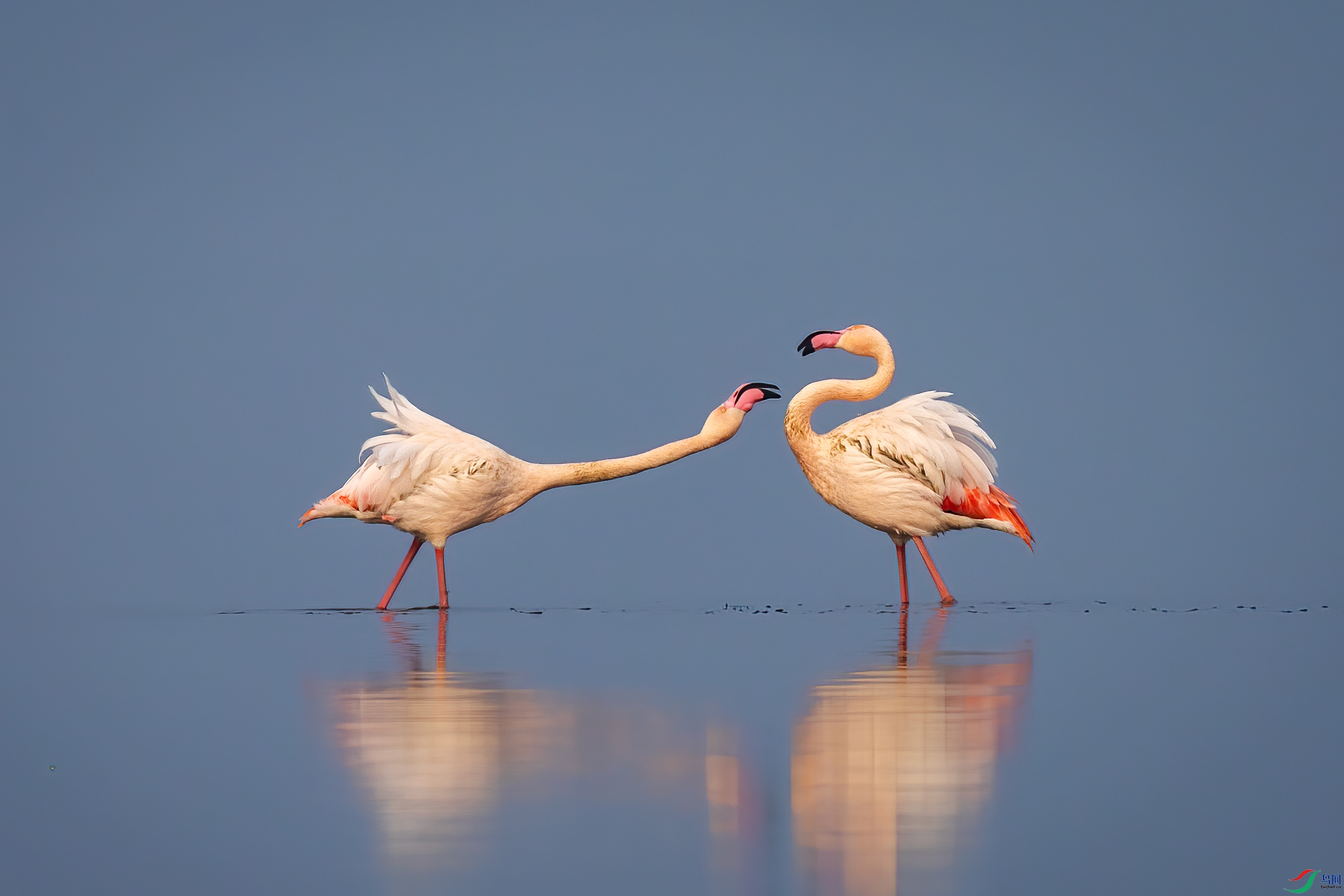 ����0C4A9953.jpg
