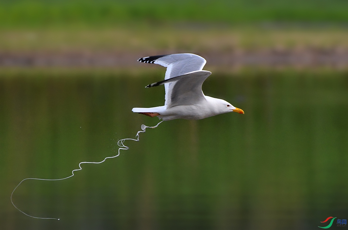 DSC_0173.jpg