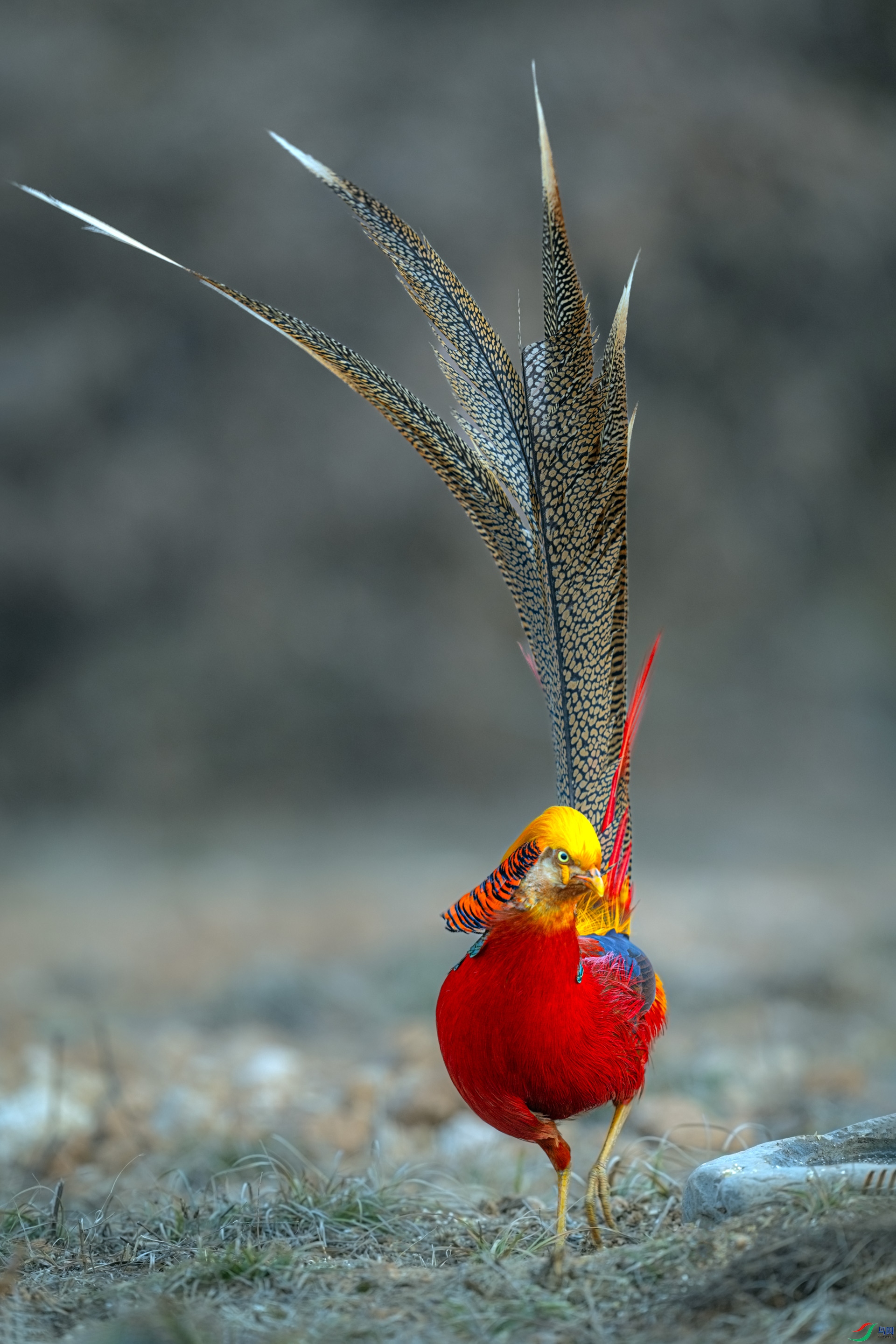 DSC_7632==1w.jpg