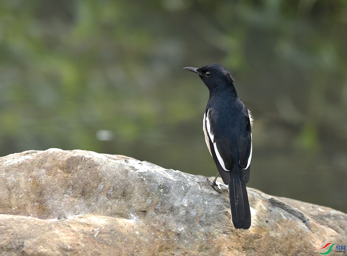 DSC_0073.JPG