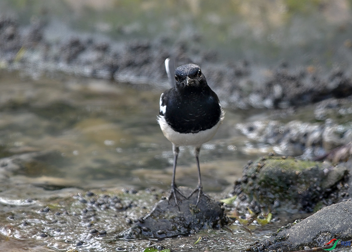 DSC_0104.JPG