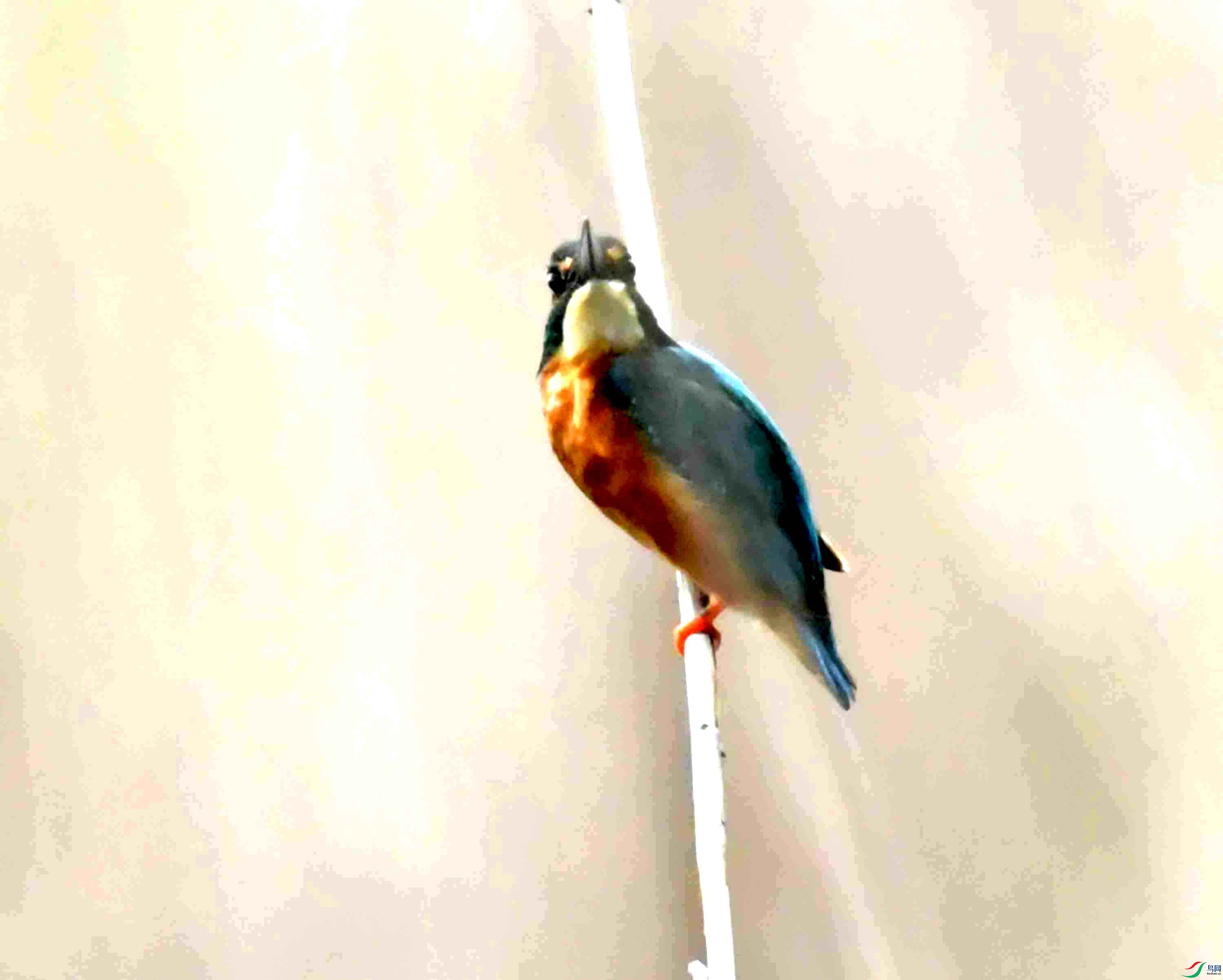 DSC_1157.JPG