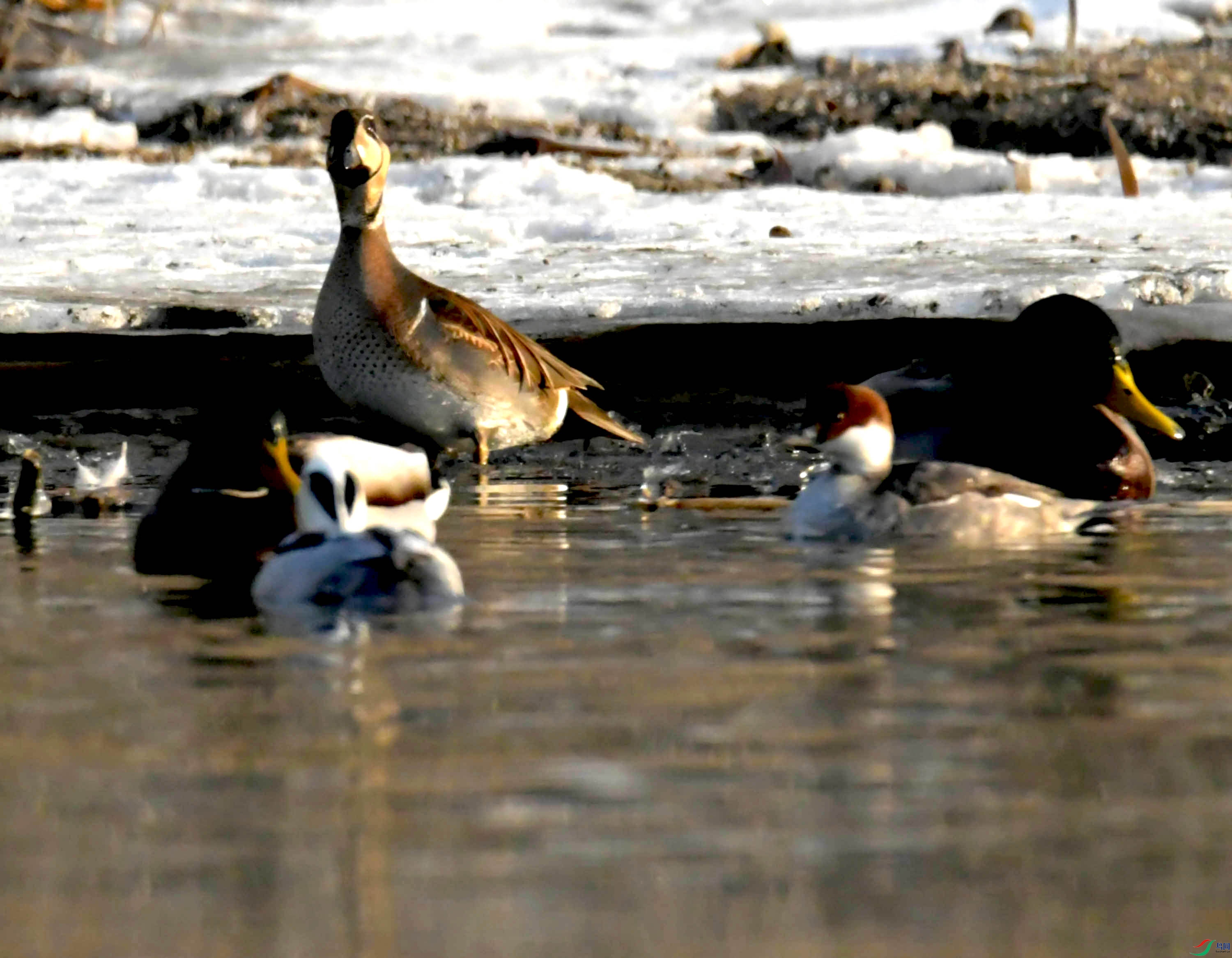 DSC_5820.JPG