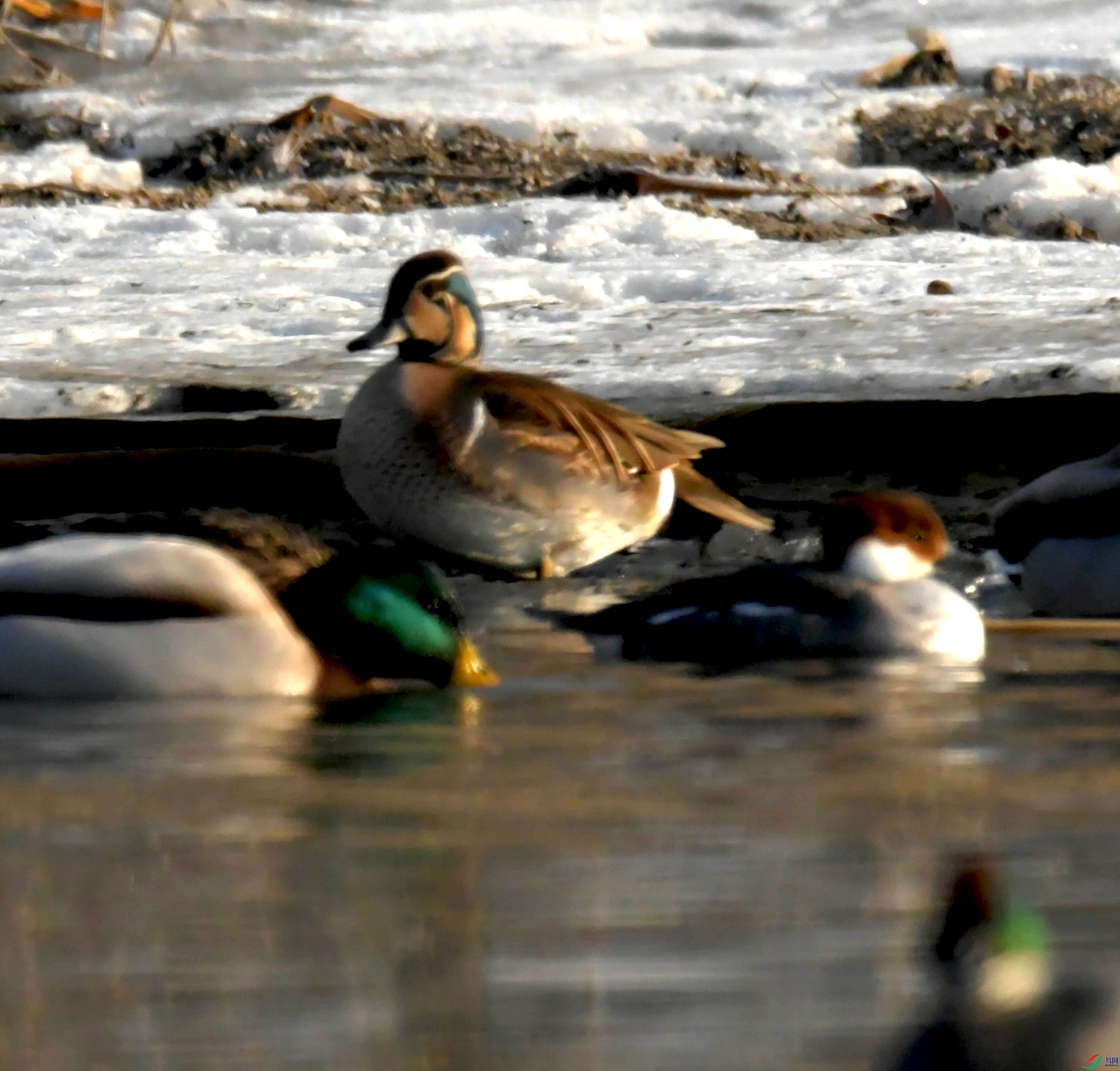 DSC_5836.JPG