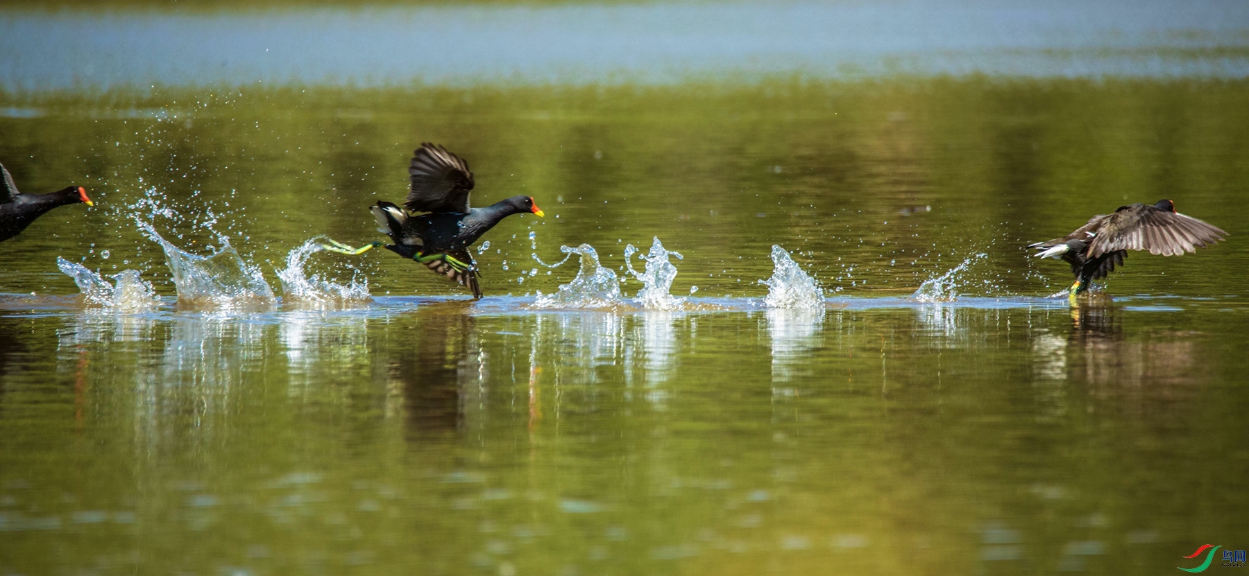 ׷_���� (2)_����.jpg
