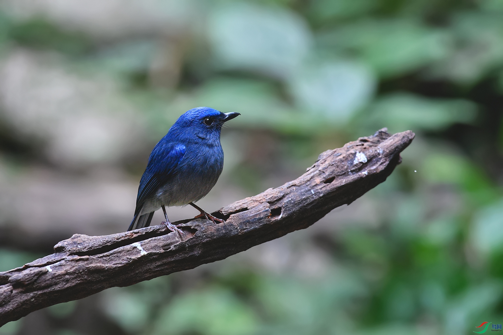DSC_5159aa.jpg
