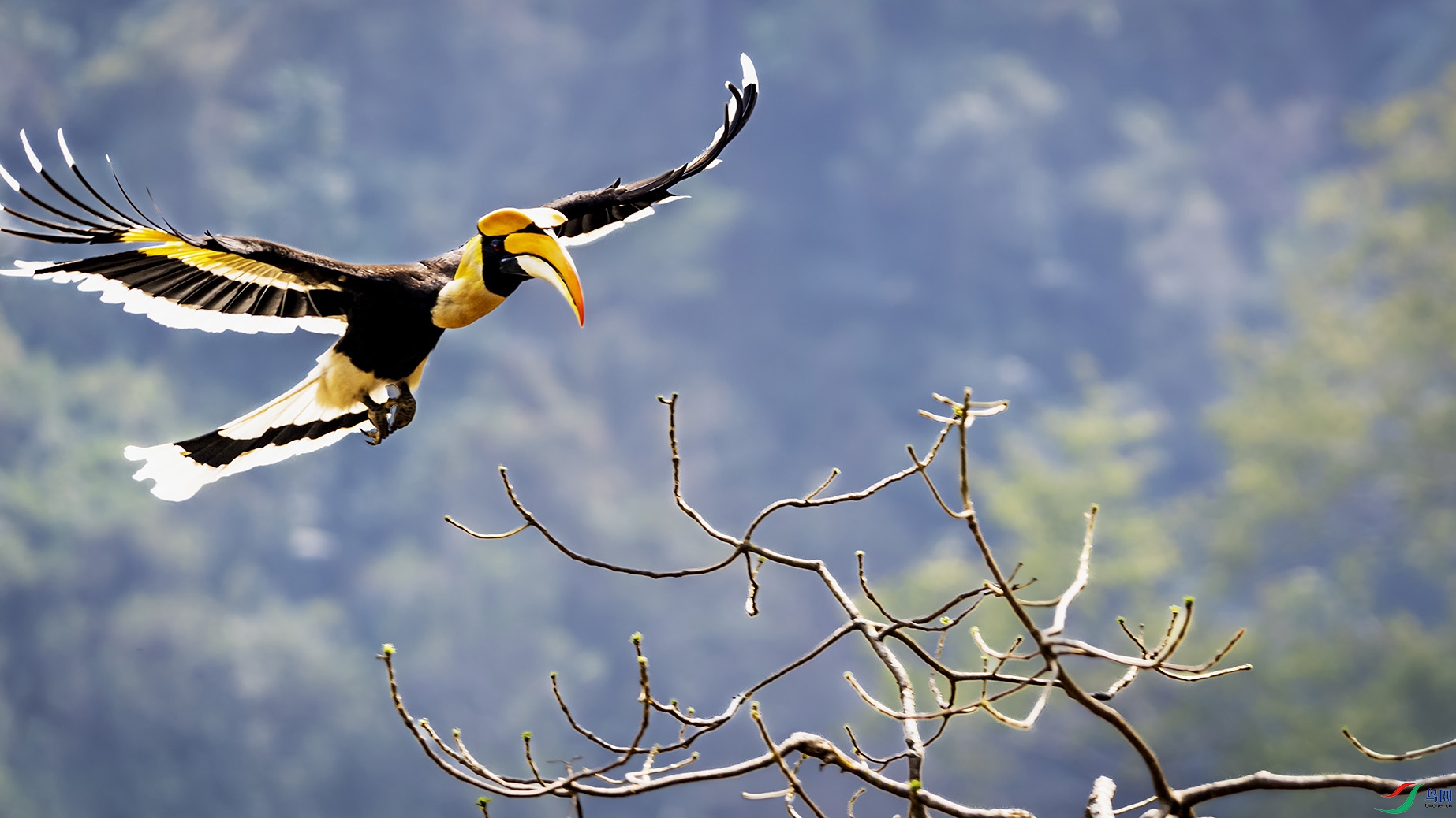 DSC_3240 ����c.jpg