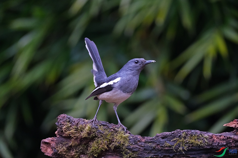 DSCF5508.1.jpg