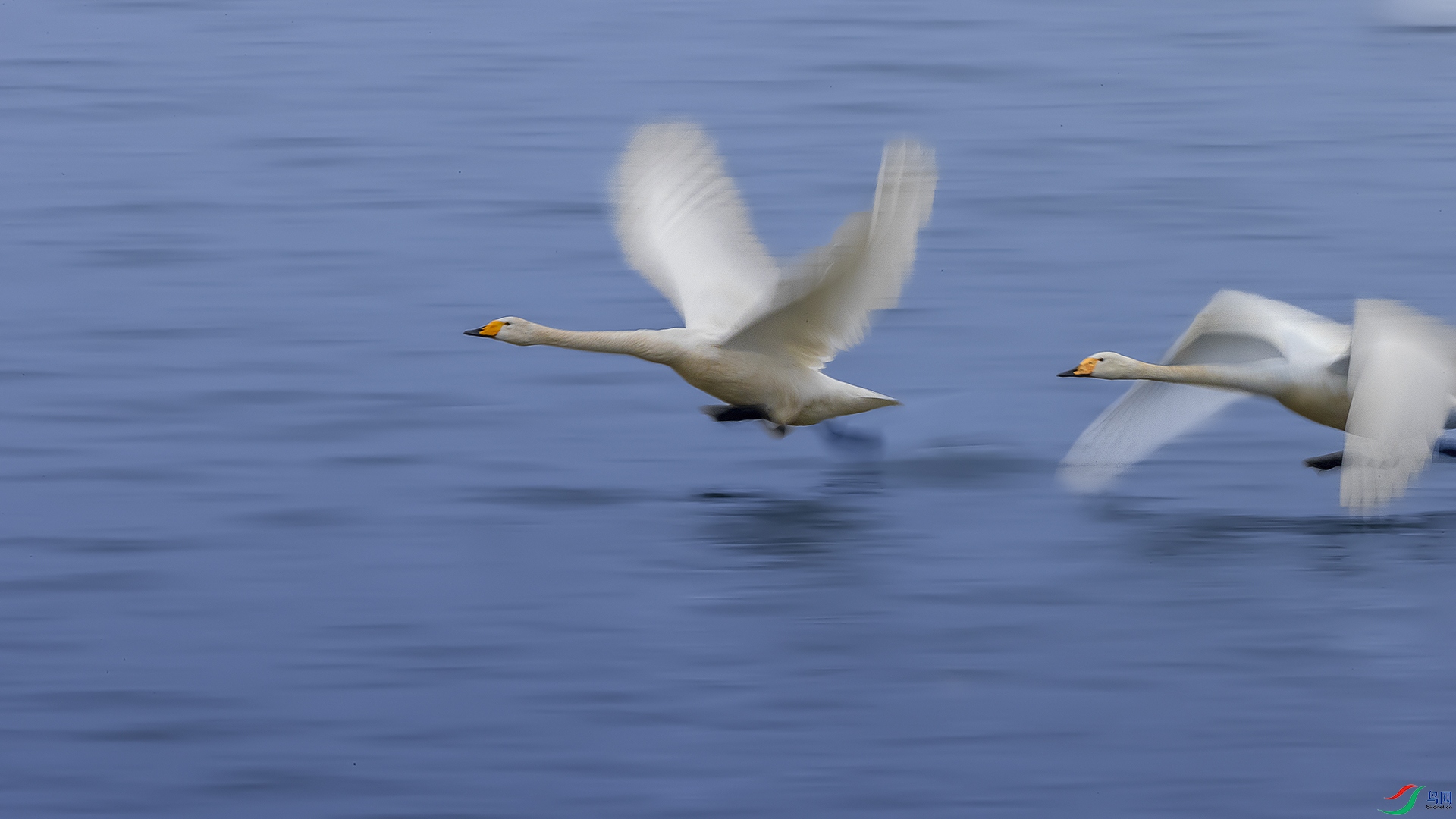 �ڷɵĴ����