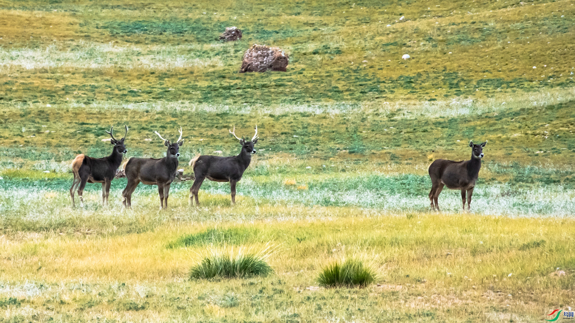 _DSC3146_����.jpg
