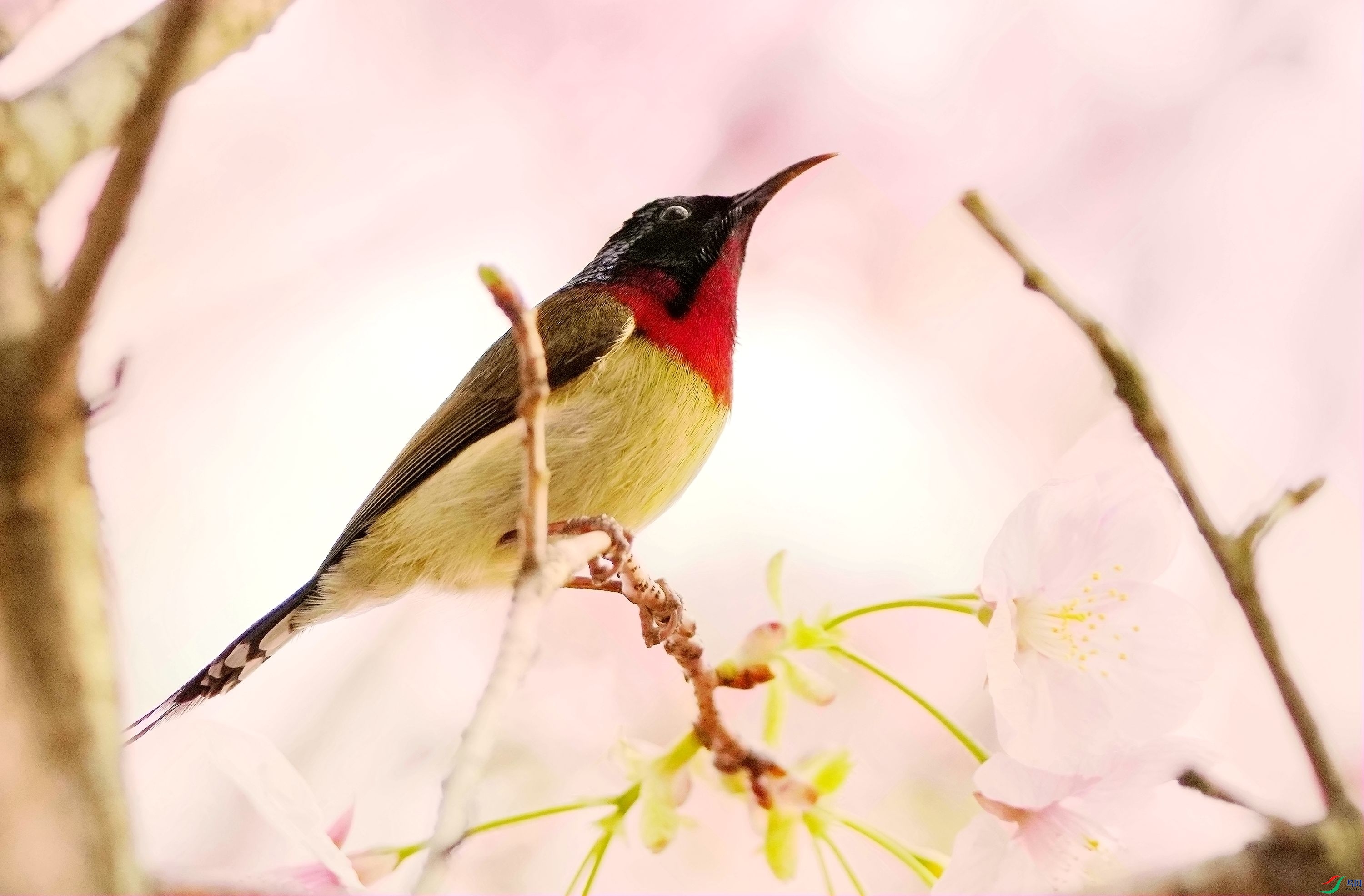 ��β̫����DSC03114_����.jpg