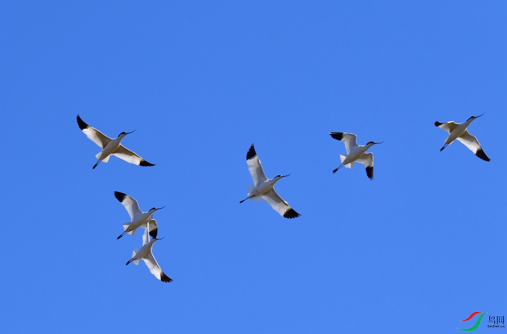 DSC_8249.jpg