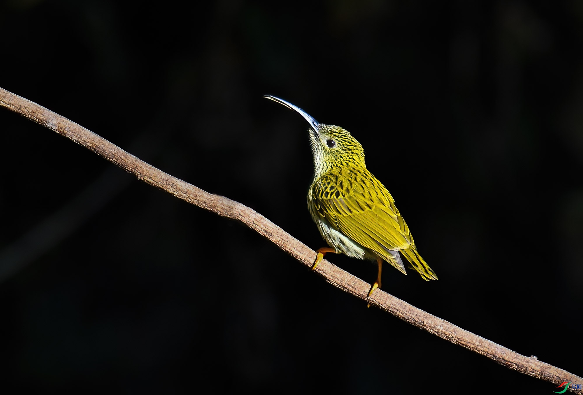 DSC_1682.jpg