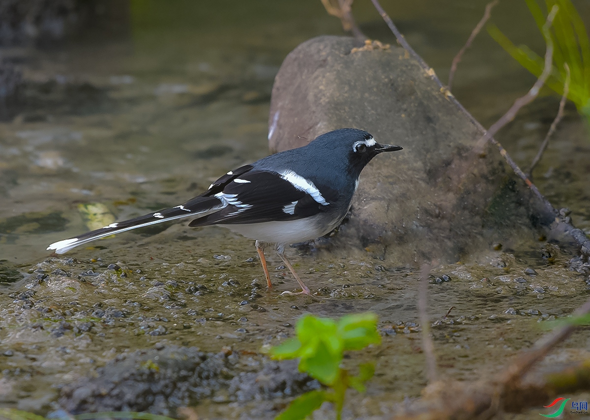 DSC_1948.JPG