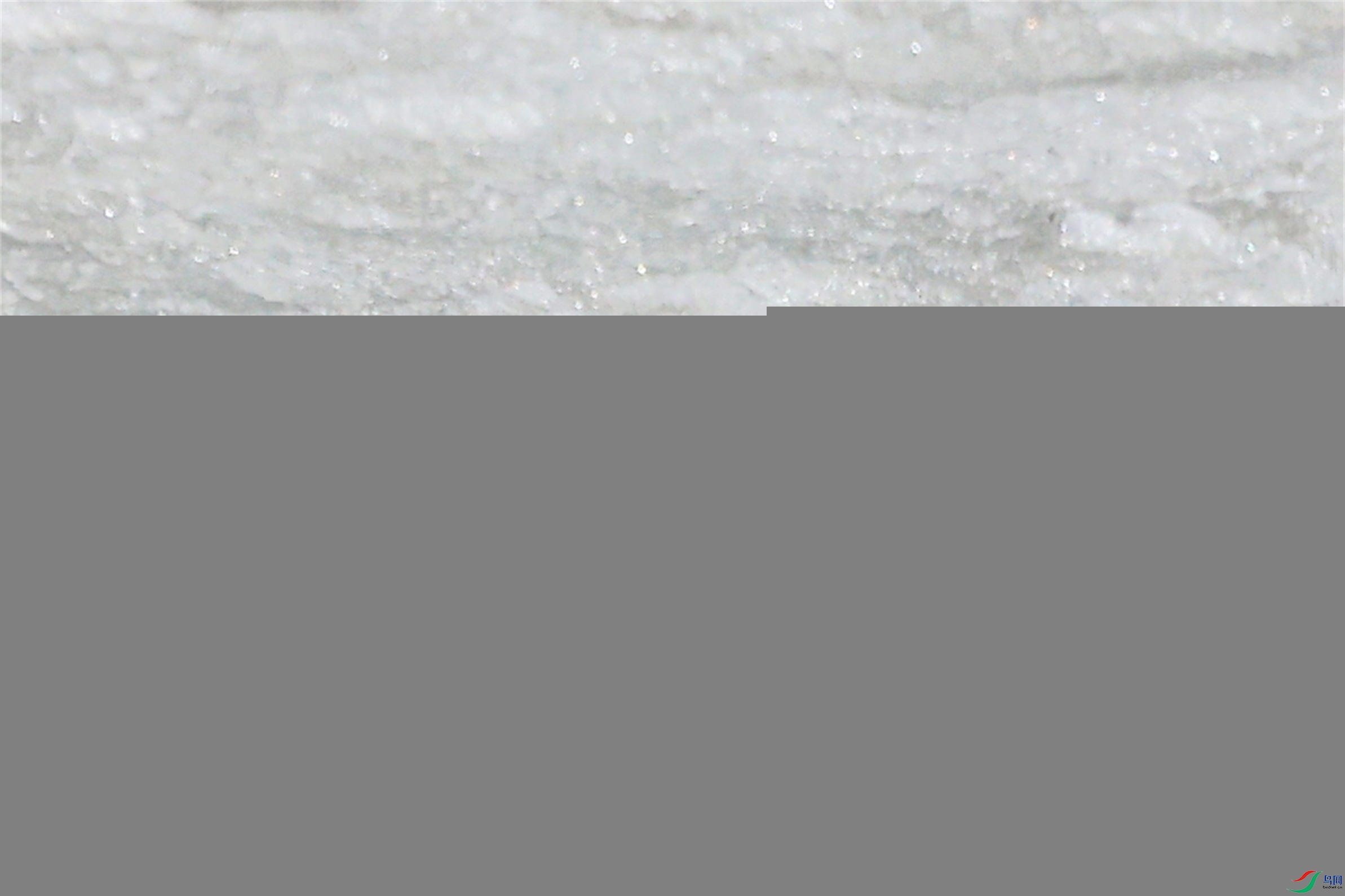 1K3A9466 ����1.jpg