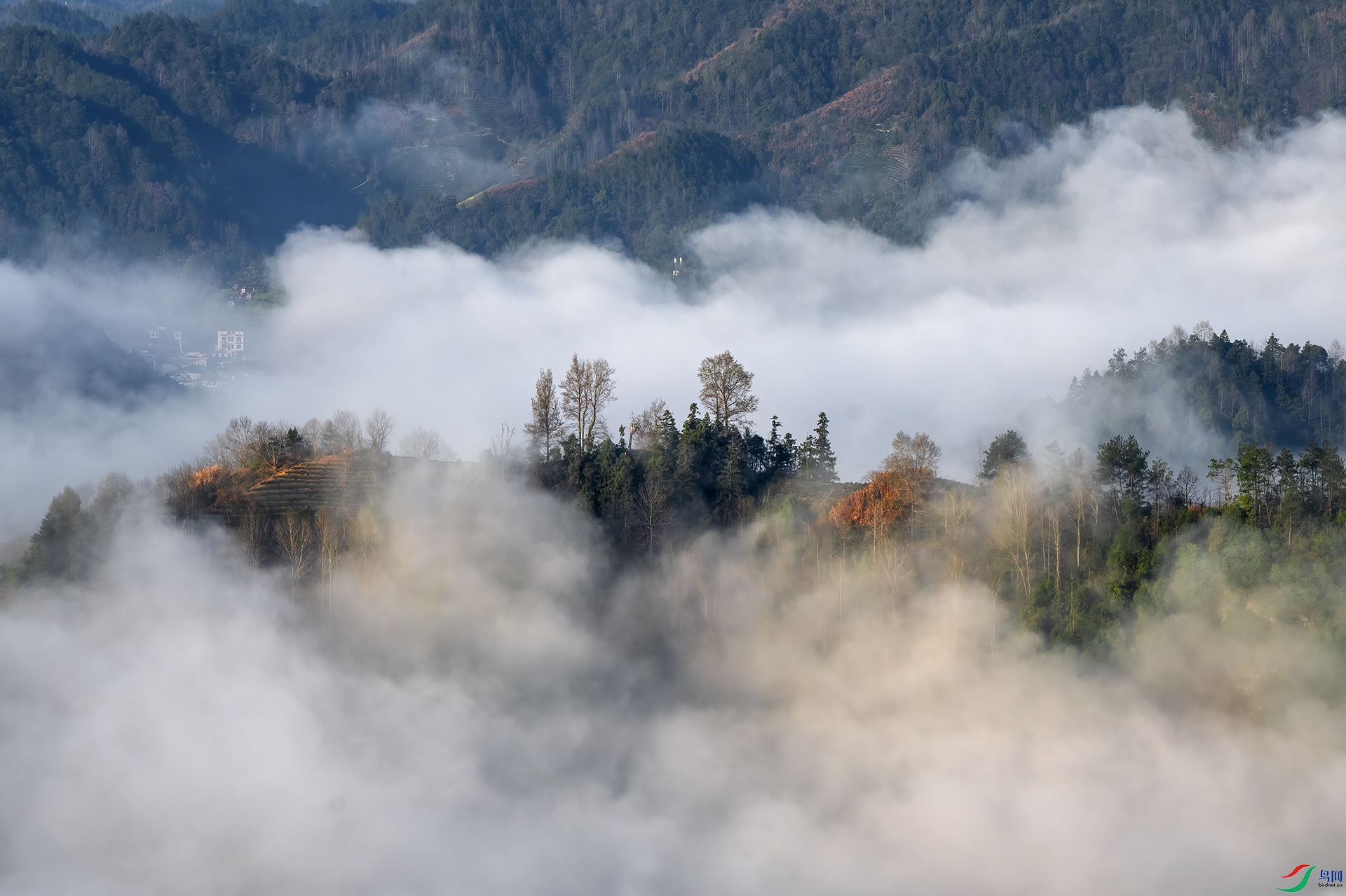 DSC_1550 - ����ɽ��.jpg