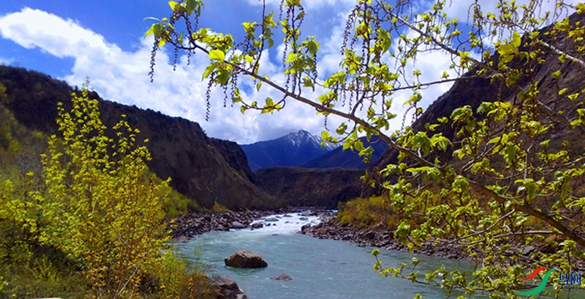 ��³�ز���Ͽ��