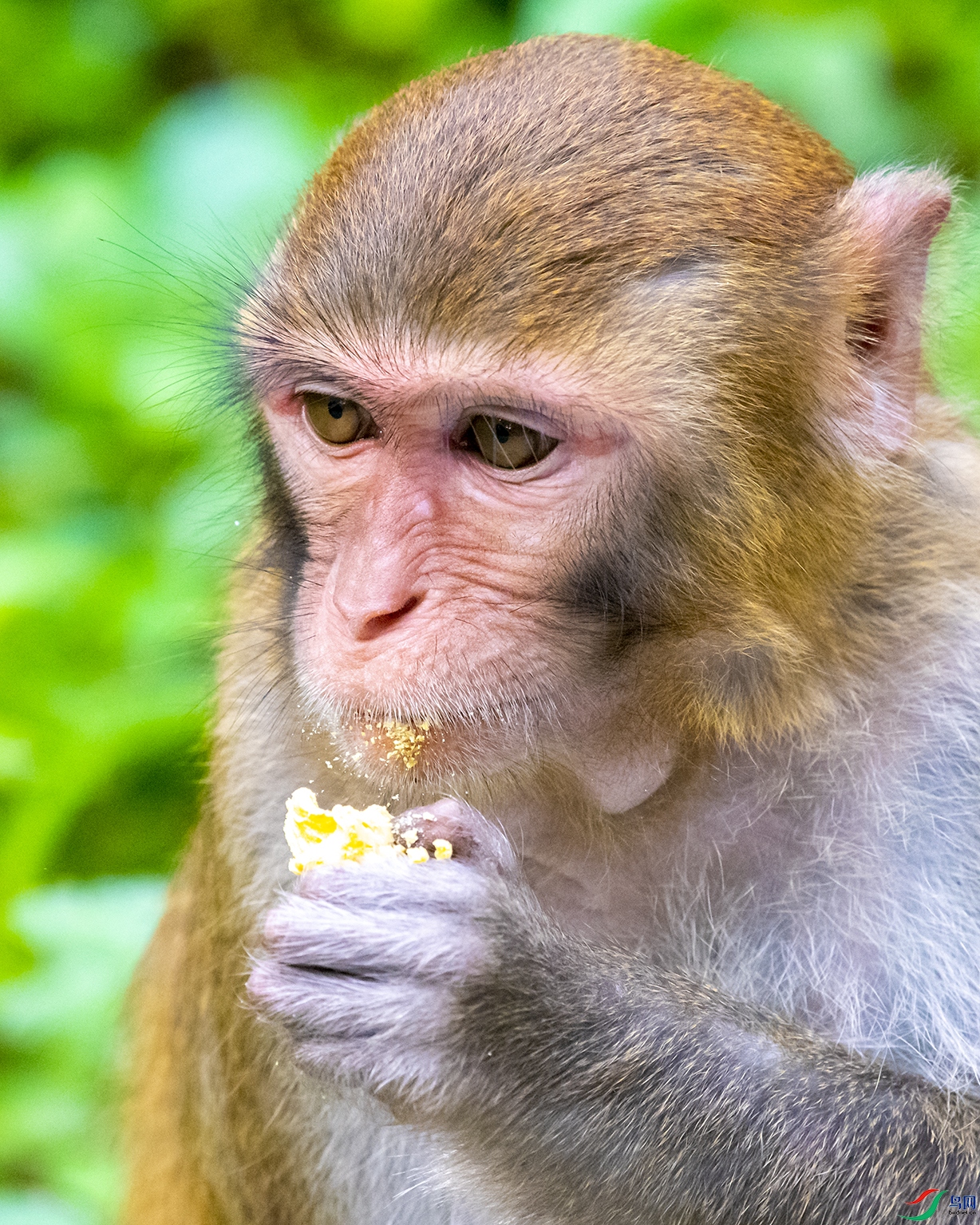 5461 ����.jpg