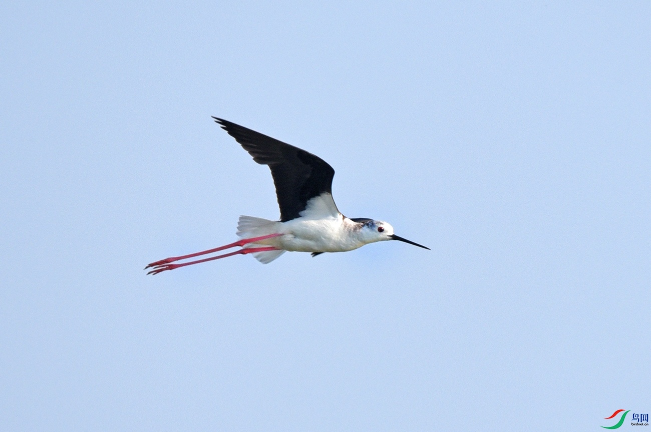 DSC_3703.jpg