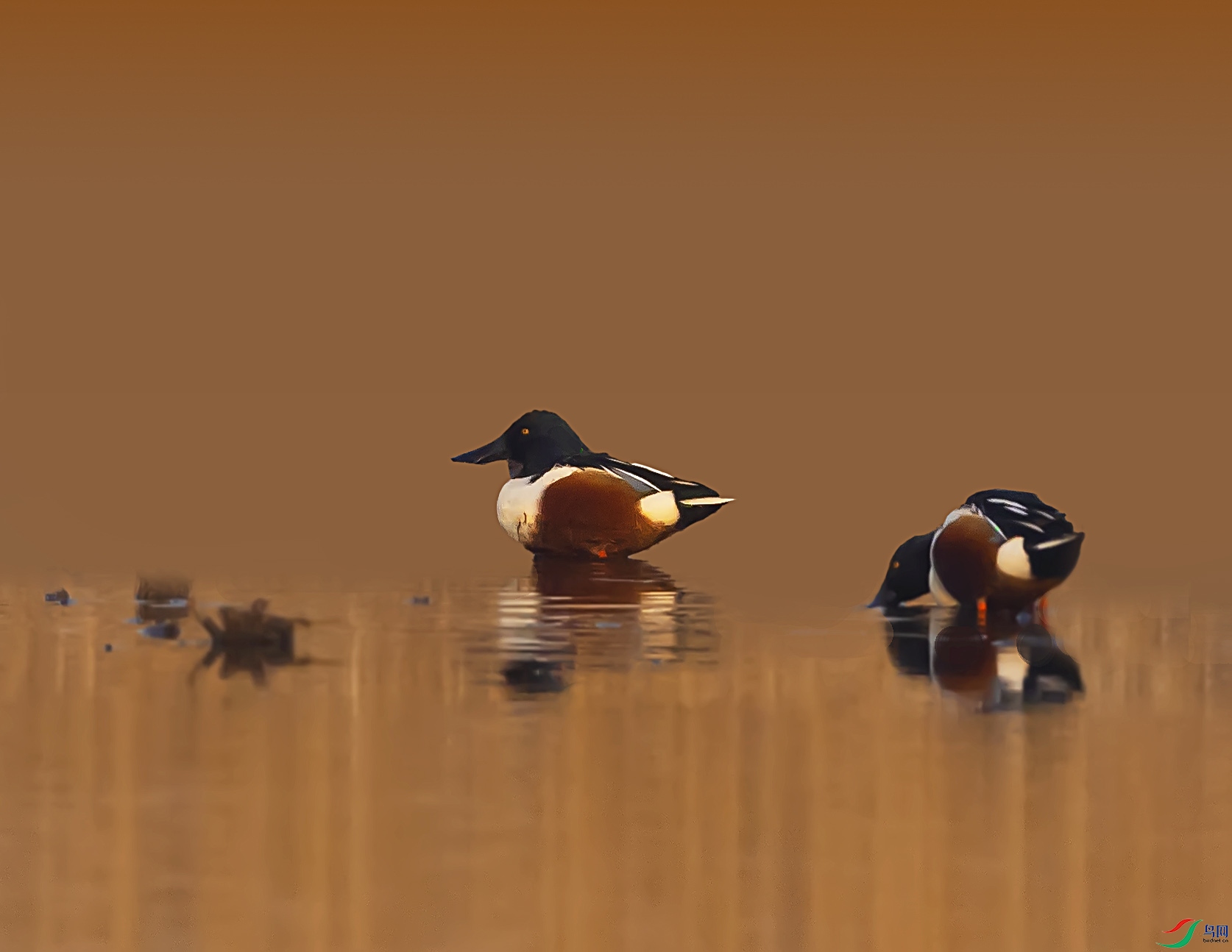 019A4636 ����.jpg