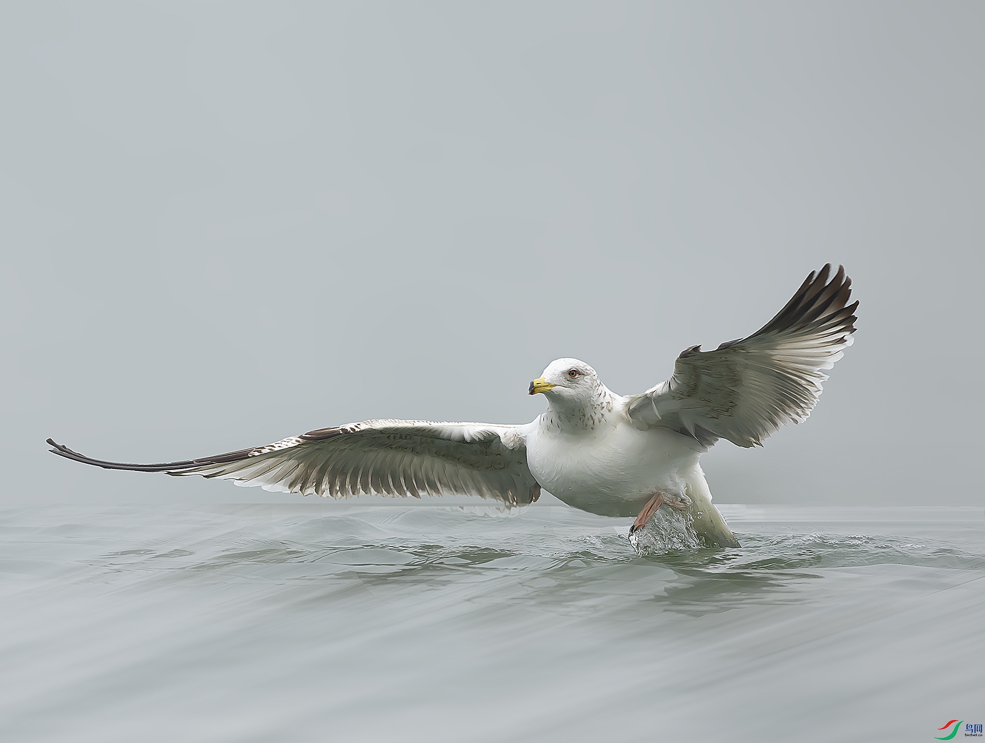 019A0125 ����.jpg